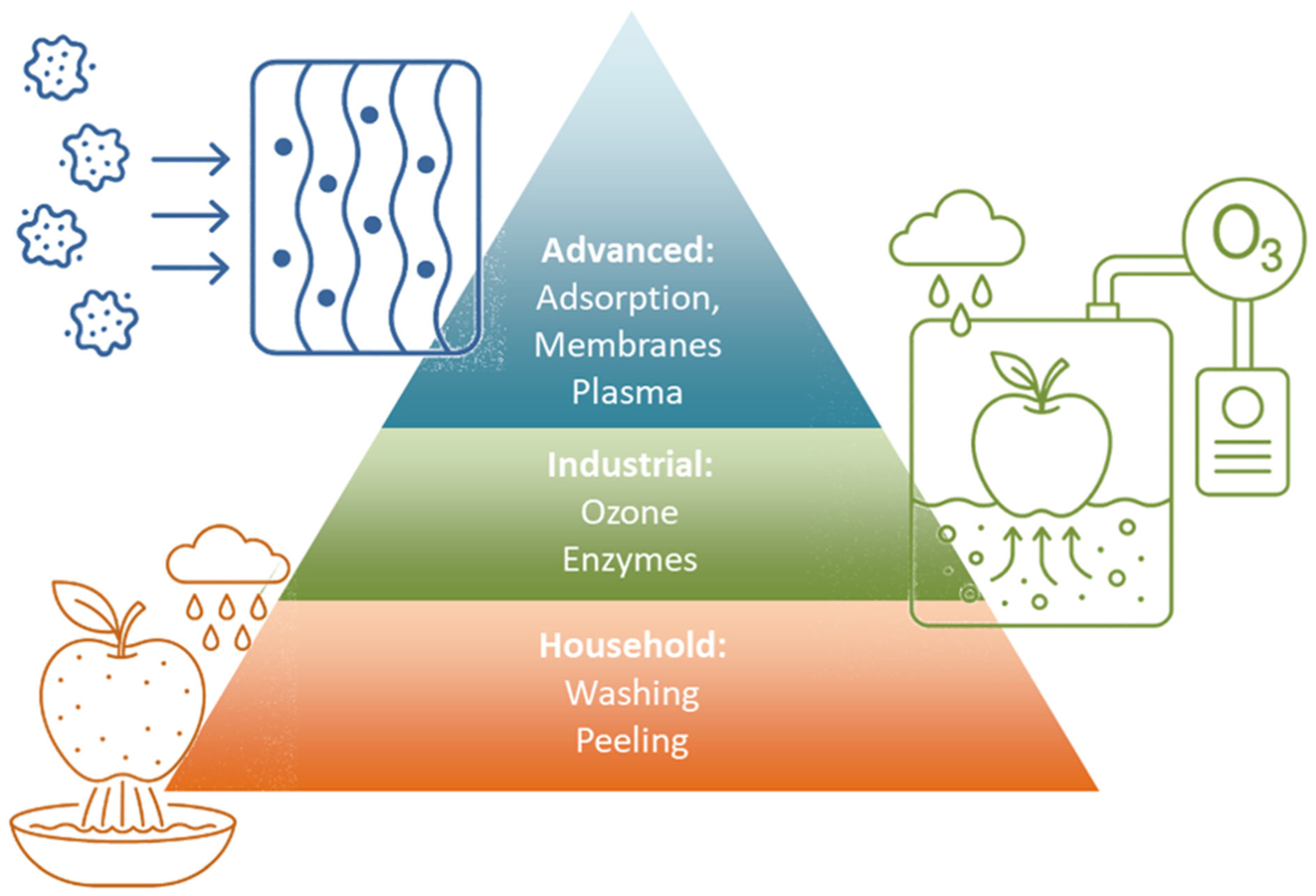 Foods 14 03797 g002 Foods 14 03797 g002