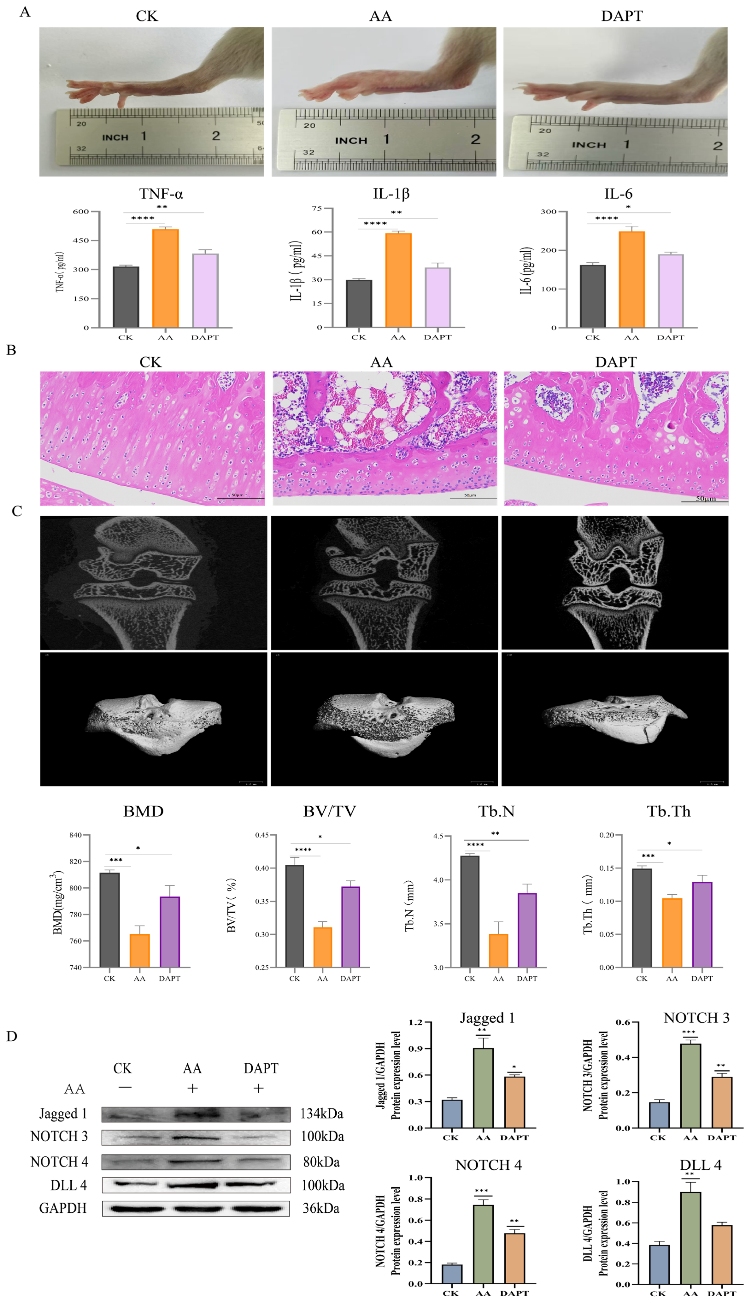 Foods 14 03802 g008 Foods 14 03802 g008