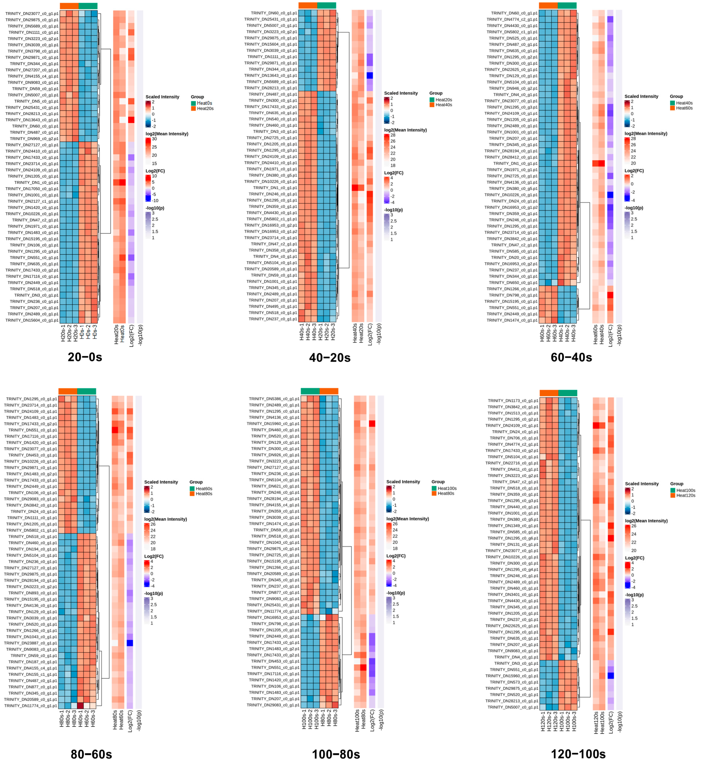 Foods 14 04278 g005 Foods 14 04278 g005