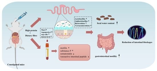 Hardness of AKSG with different addition amounts of inulin (A), ADSP (B), EWP (C), SA (D), and Lys (E). Values of different groups with different lower case letters (a–d) are significantly different at p < 0.05.