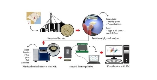 Experimental operations performed: (A) sample collection; (B) conventional physical analysis; (C) compositional analysis using NIR; (D) acquisition of spectral curves; (E) application of ML algorithms for classification.