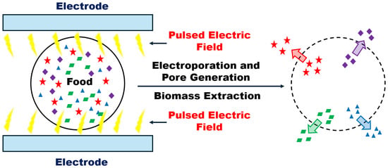 Pef Machine Mathematical Modeling and Computational Approaches for Pulsed Electric ...