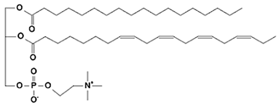 Foods 15 00256 i005 Foods 15 00256 i005