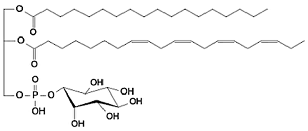 Foods 15 00256 i008 Foods 15 00256 i008