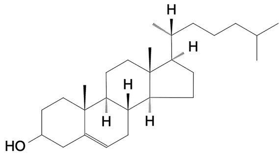 Foods 15 00256 i009 Foods 15 00256 i009