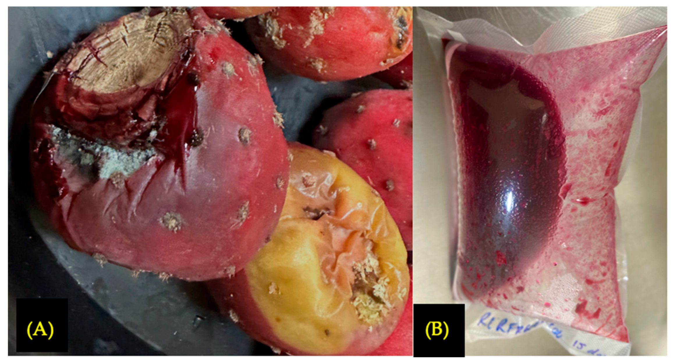 Foods 15 00282 g002 Foods 15 00282 g002