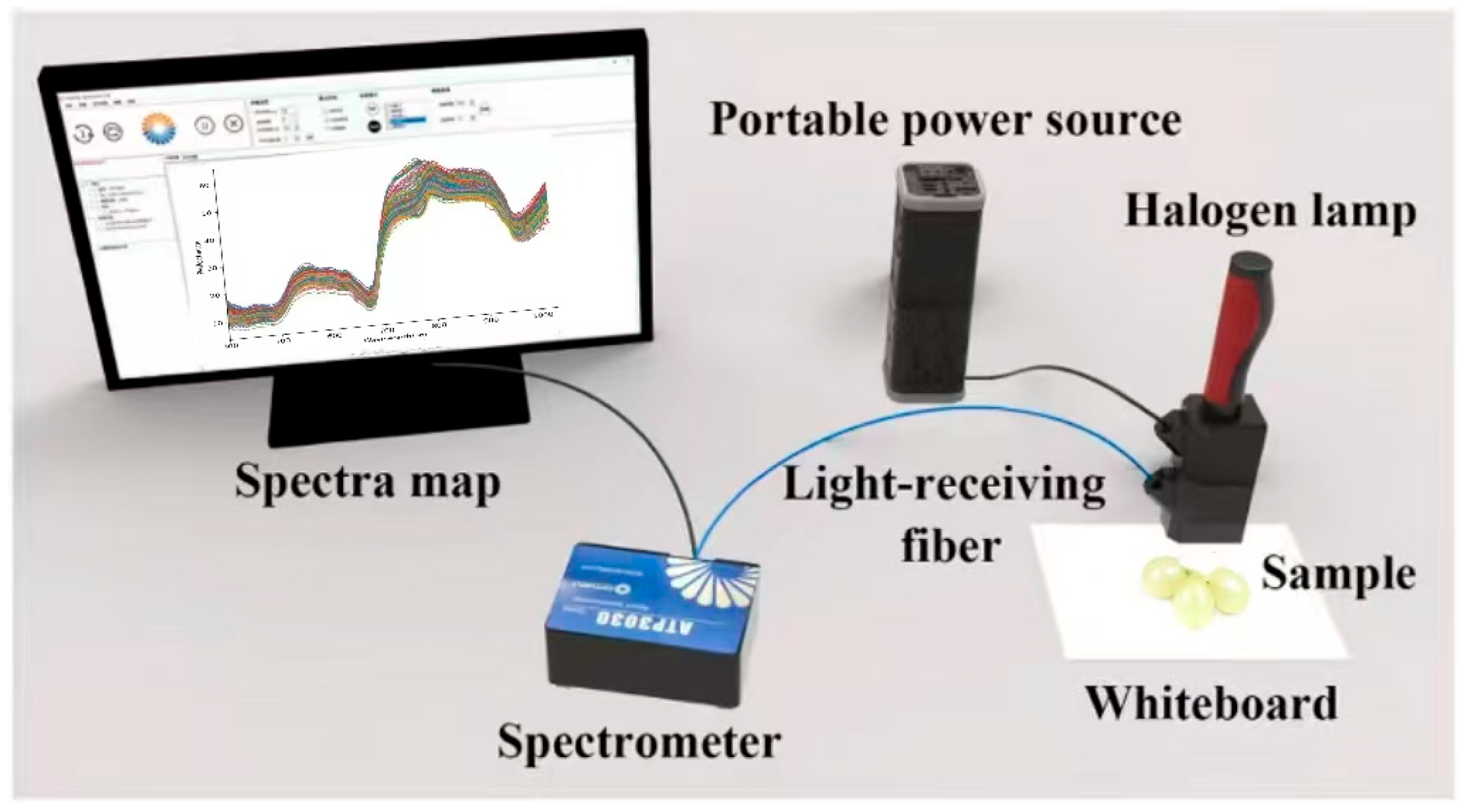 Foods 15 00475 g001 Foods 15 00475 g001