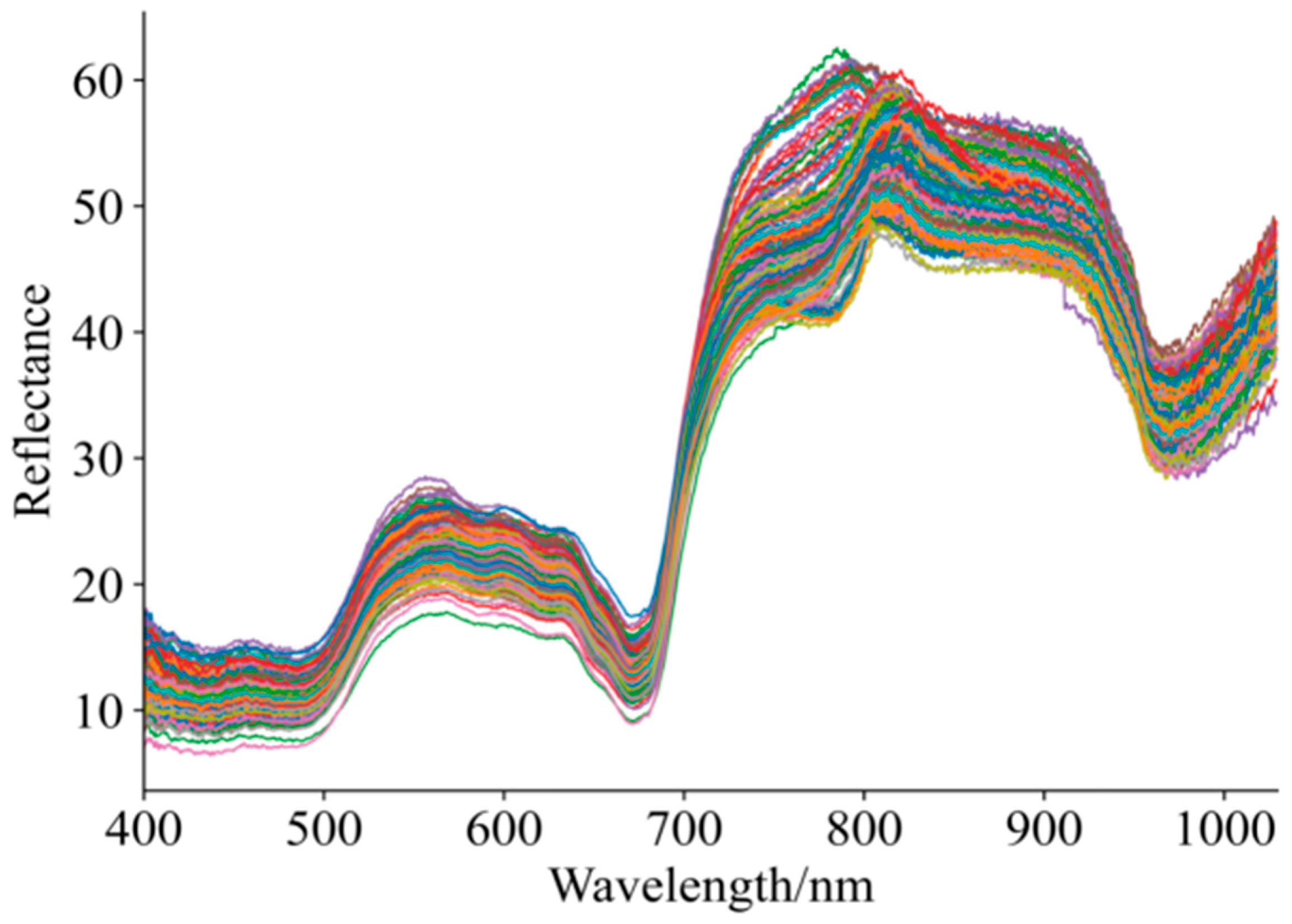 Foods 15 00475 g003 Foods 15 00475 g003