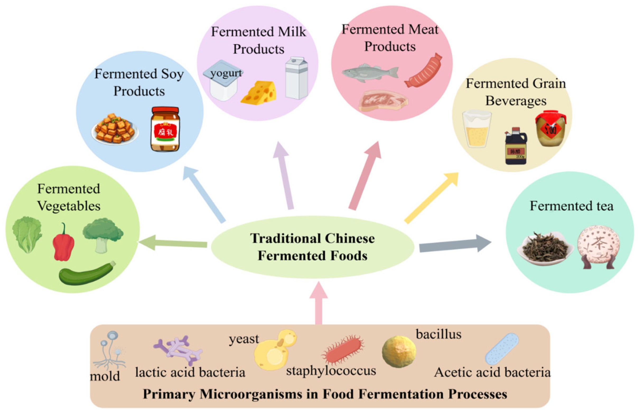 Foods 15 00489 g001 Foods 15 00489 g001