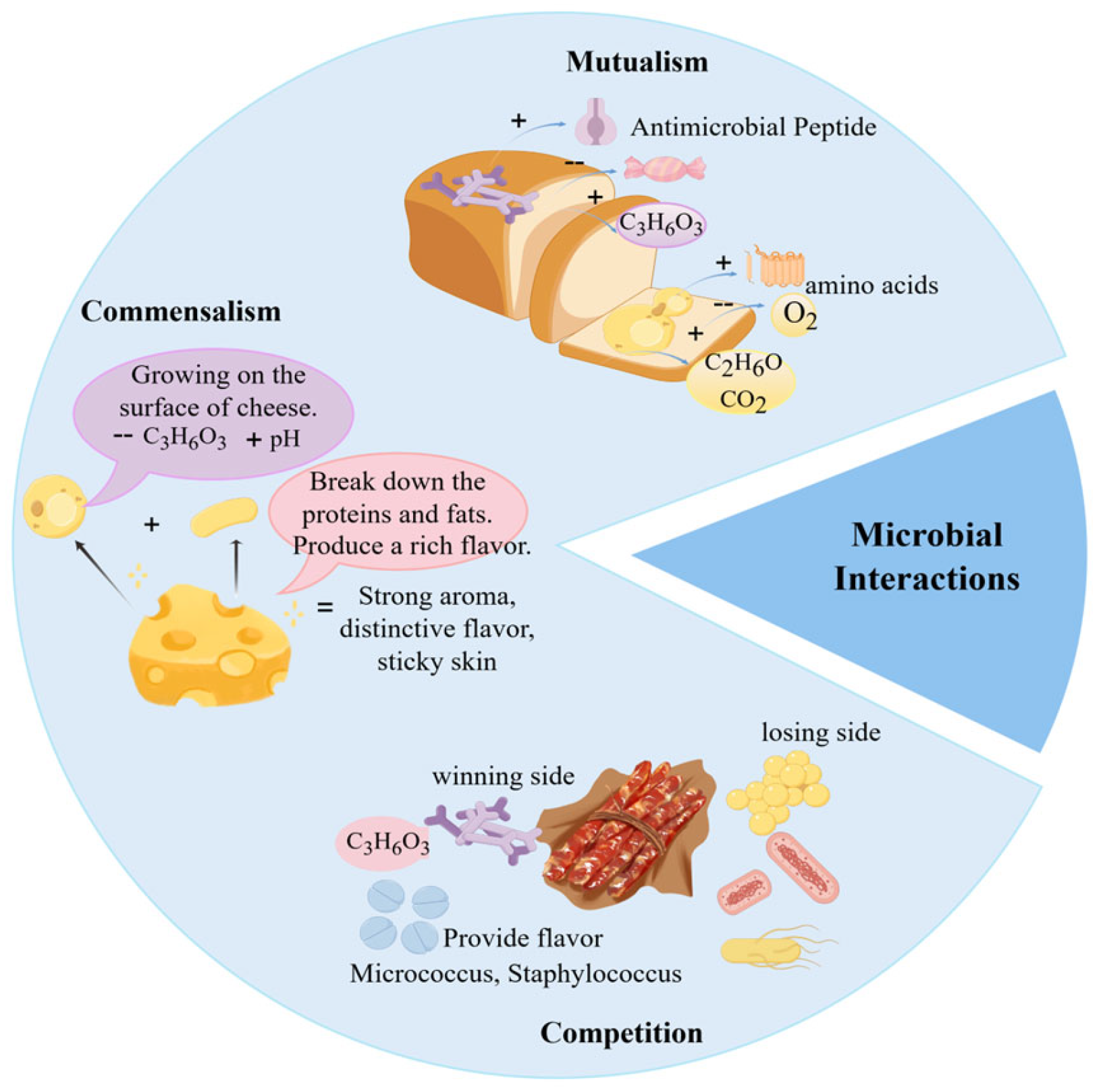 Foods 15 00489 g002 Foods 15 00489 g002