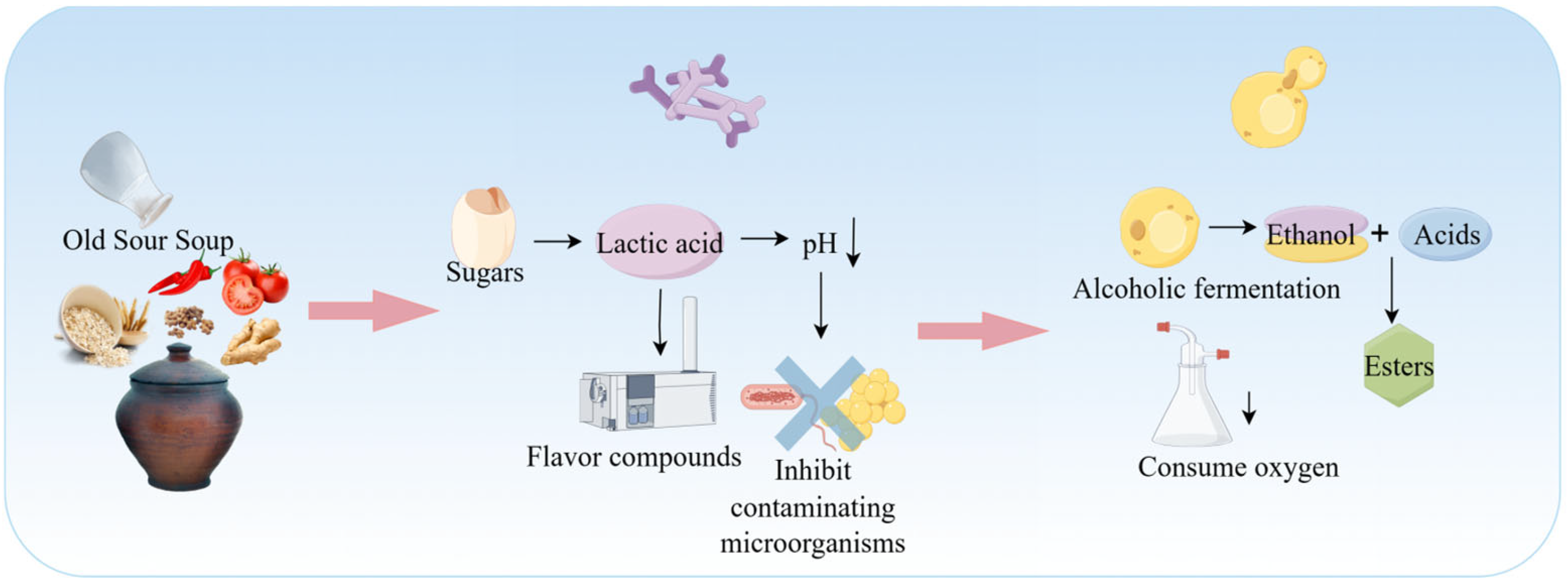 Foods 15 00489 g005 Foods 15 00489 g005