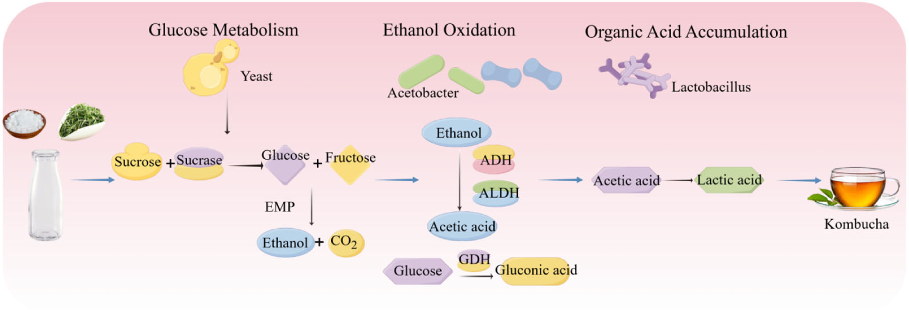 Foods 15 00489 g006 Foods 15 00489 g006