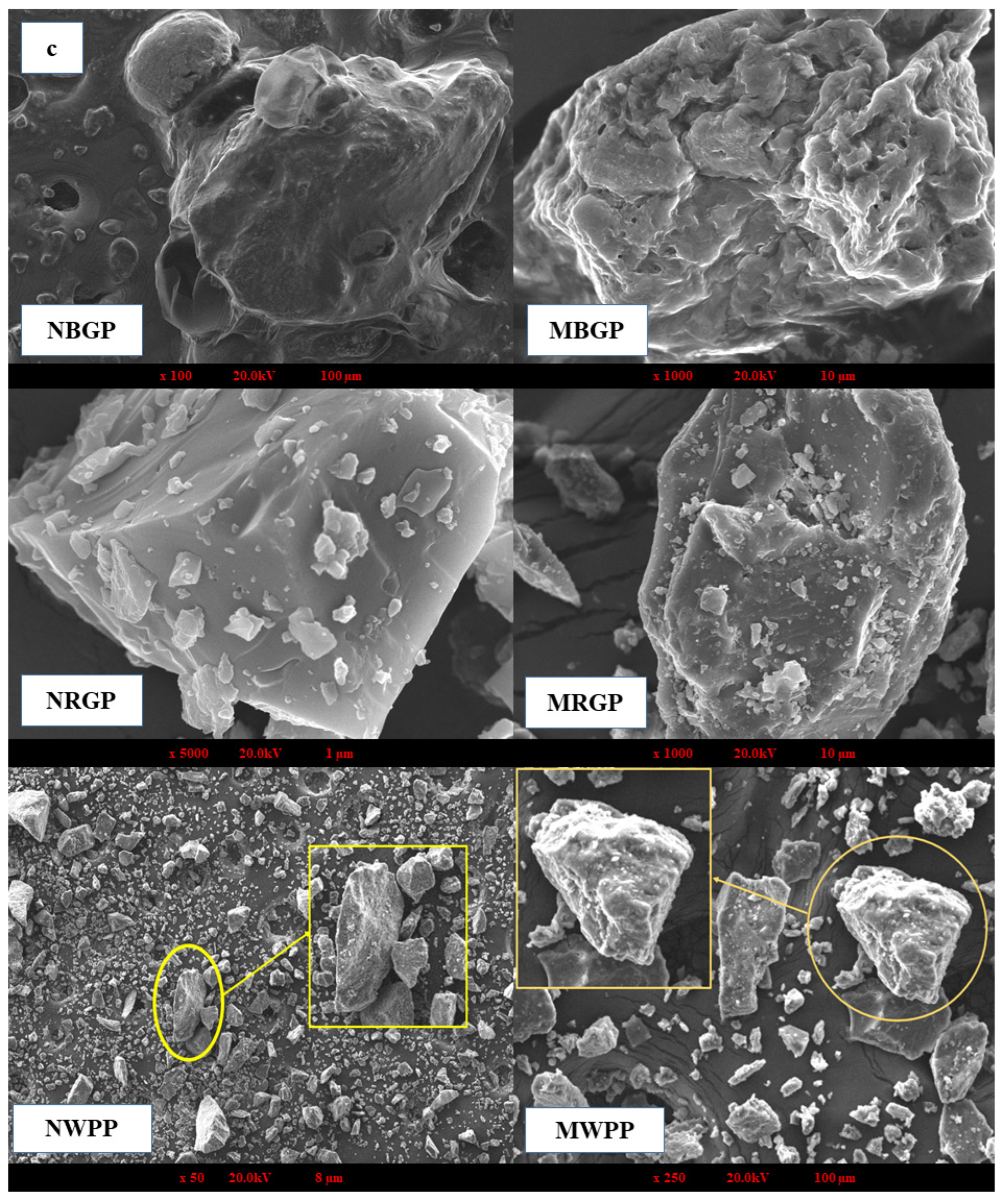 Foods 15 00580 g002b