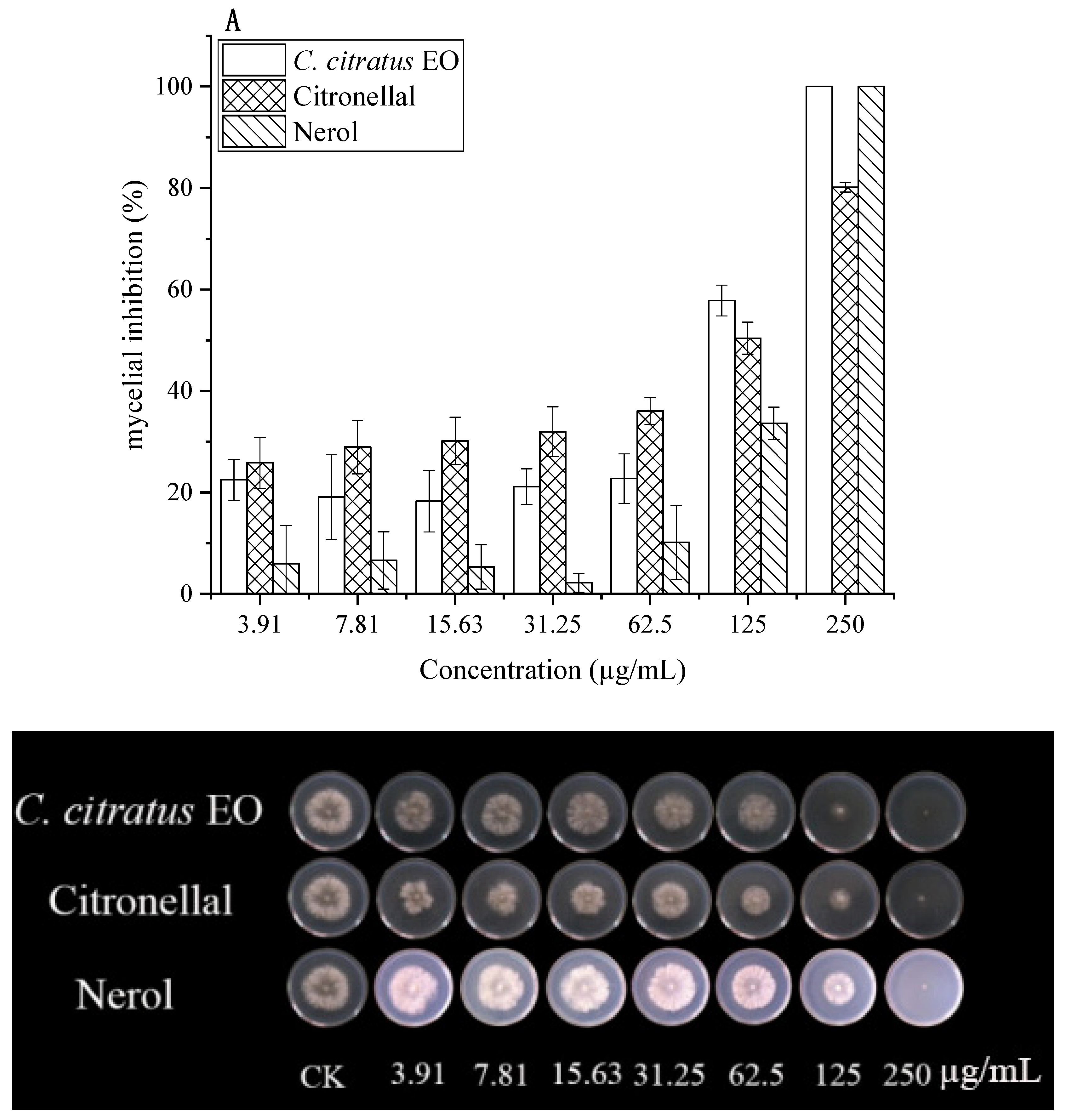Foods 15 00583 g002a