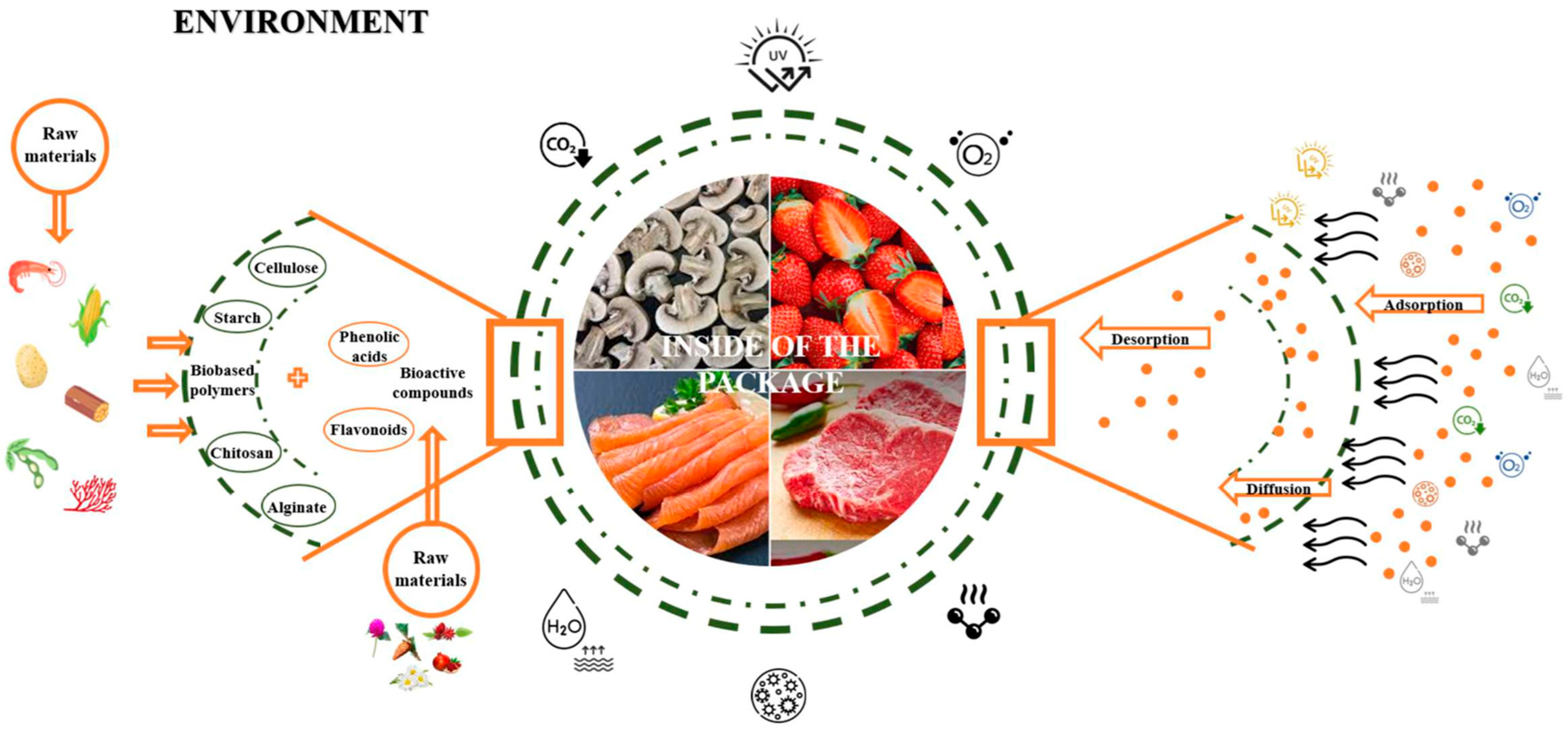 Foods 15 00920 g002 Foods 15 00920 g002