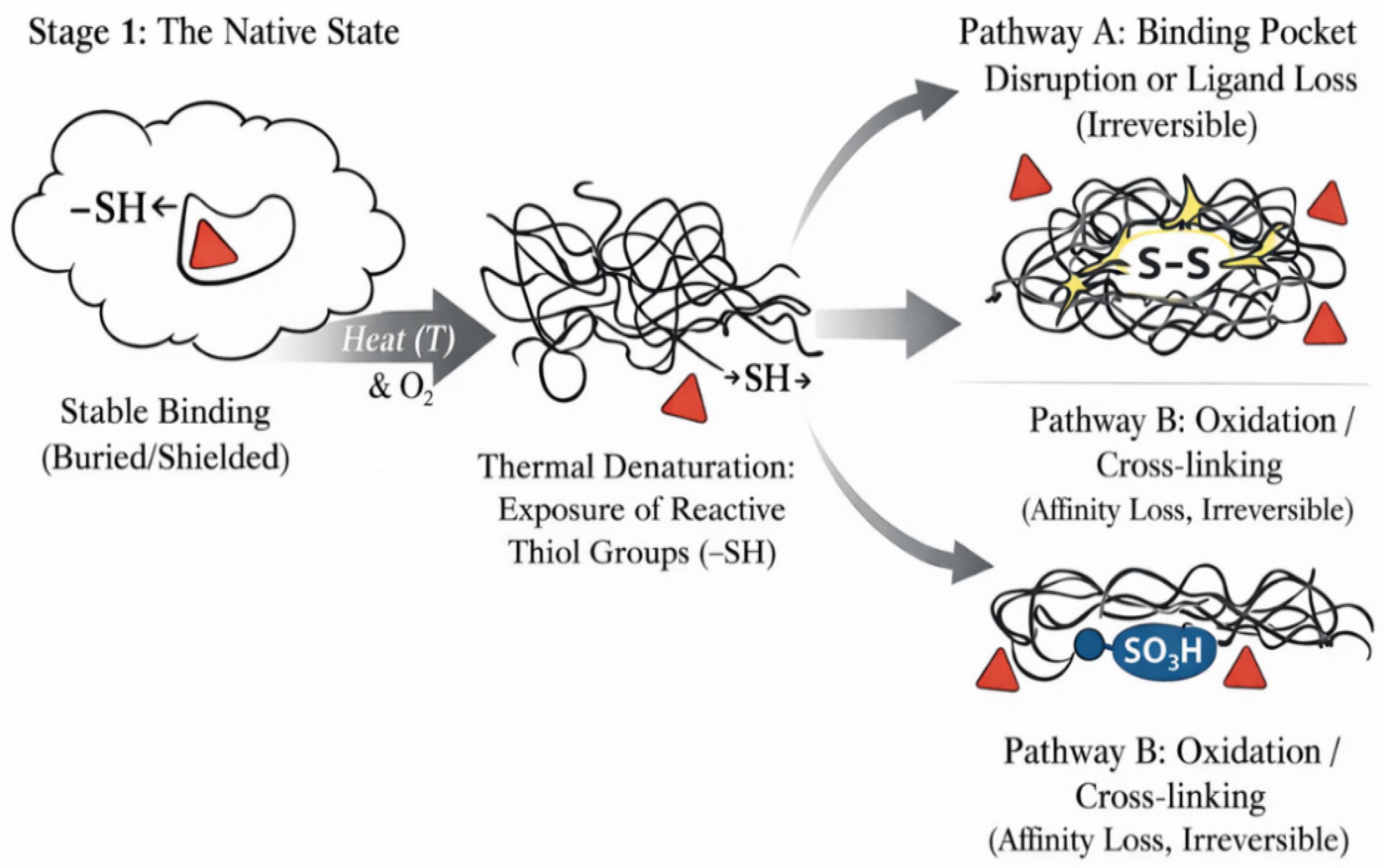 Foods 15 02478 g004 Foods 15 02478 g004