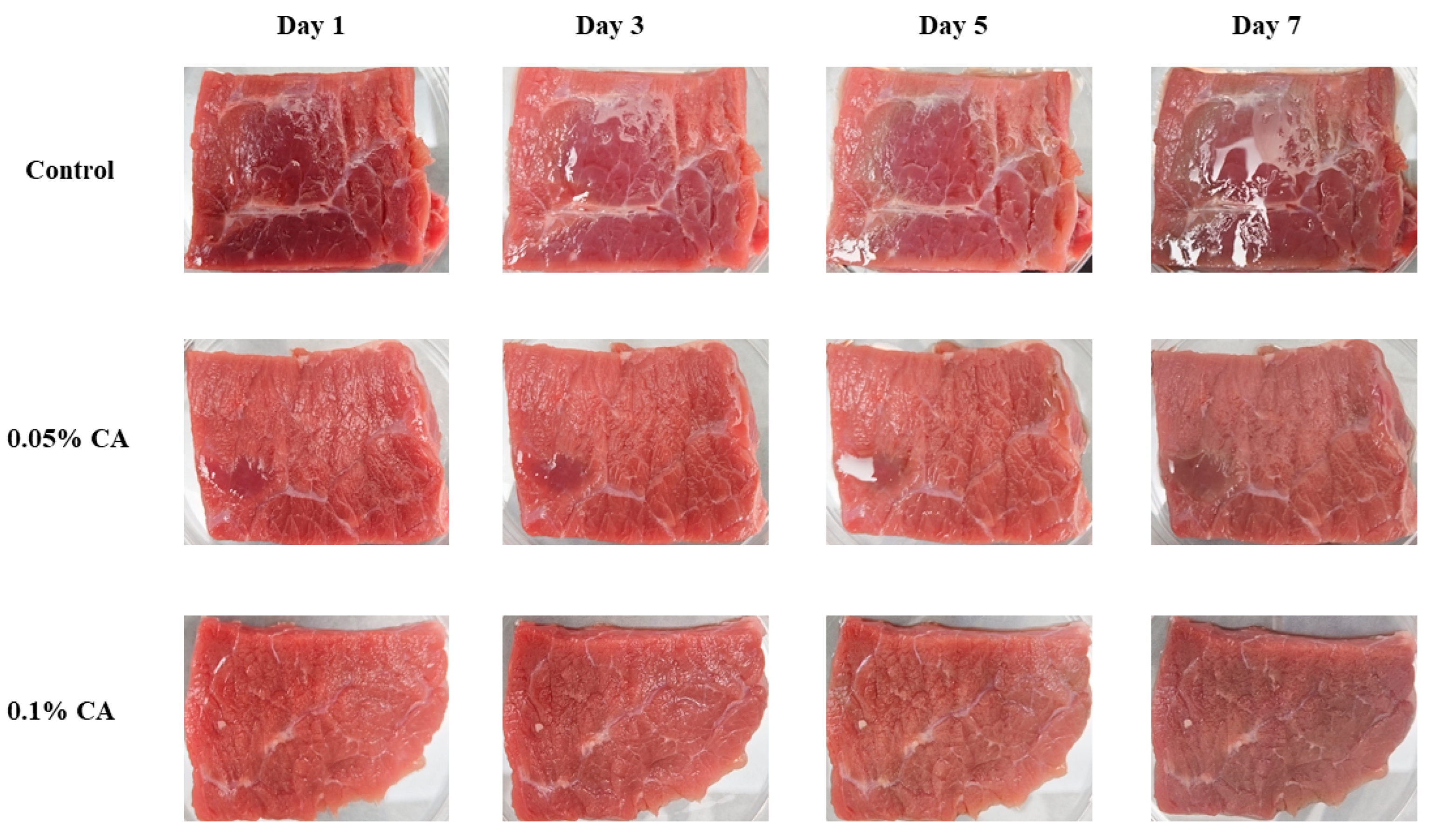Foods 15 03365 g002