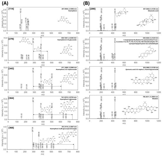 Core Level Spectra Molecular Networking and Mass2Motif Analysis Prioritise Glycosylated ...