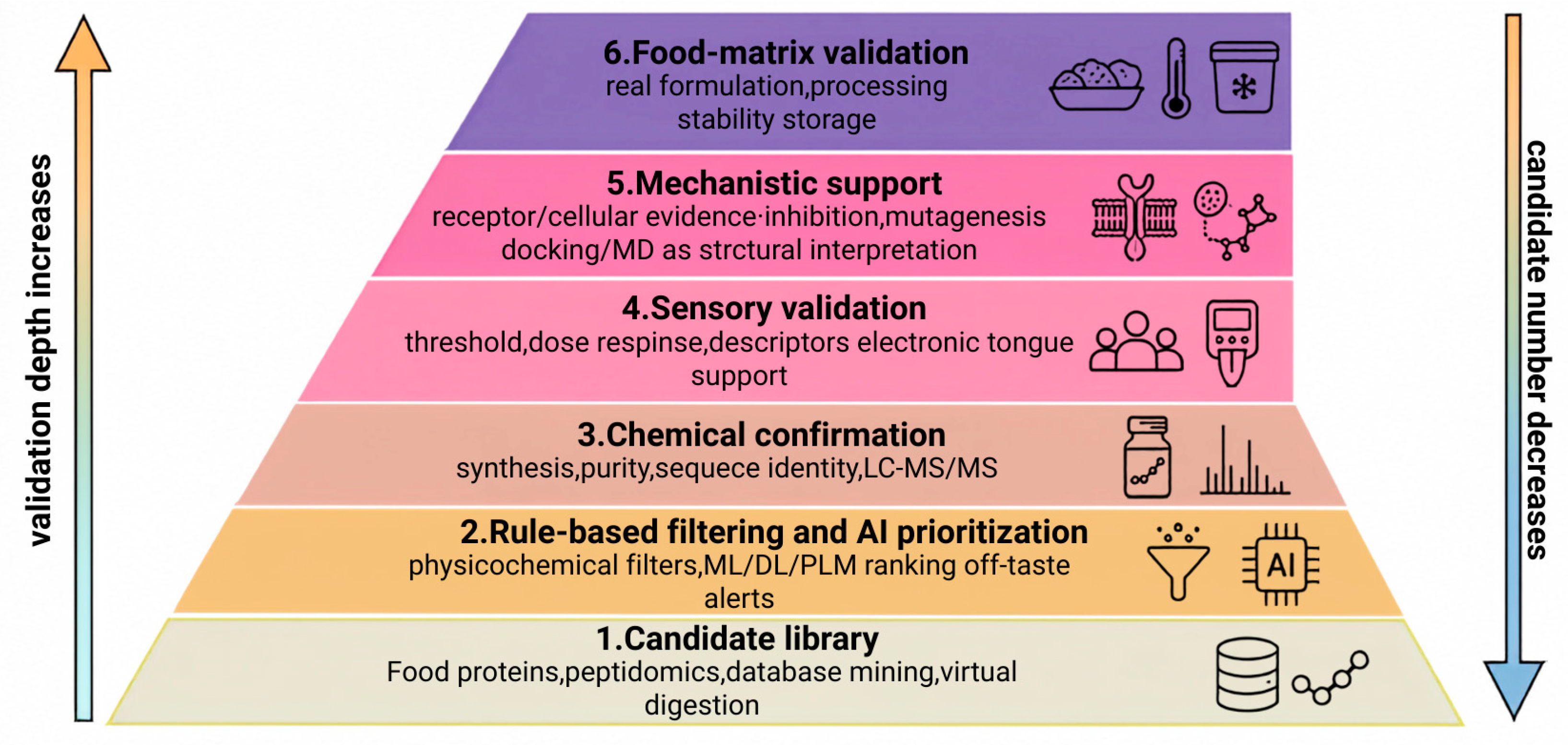 Food-Derived Umami Peptides: Linking Candidate Discovery, Experimental ...