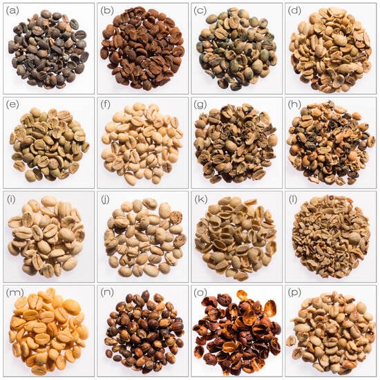Mdpi Insects Green Coffee Defects and Their Aroma-Relevant Precursors: A Review of ...