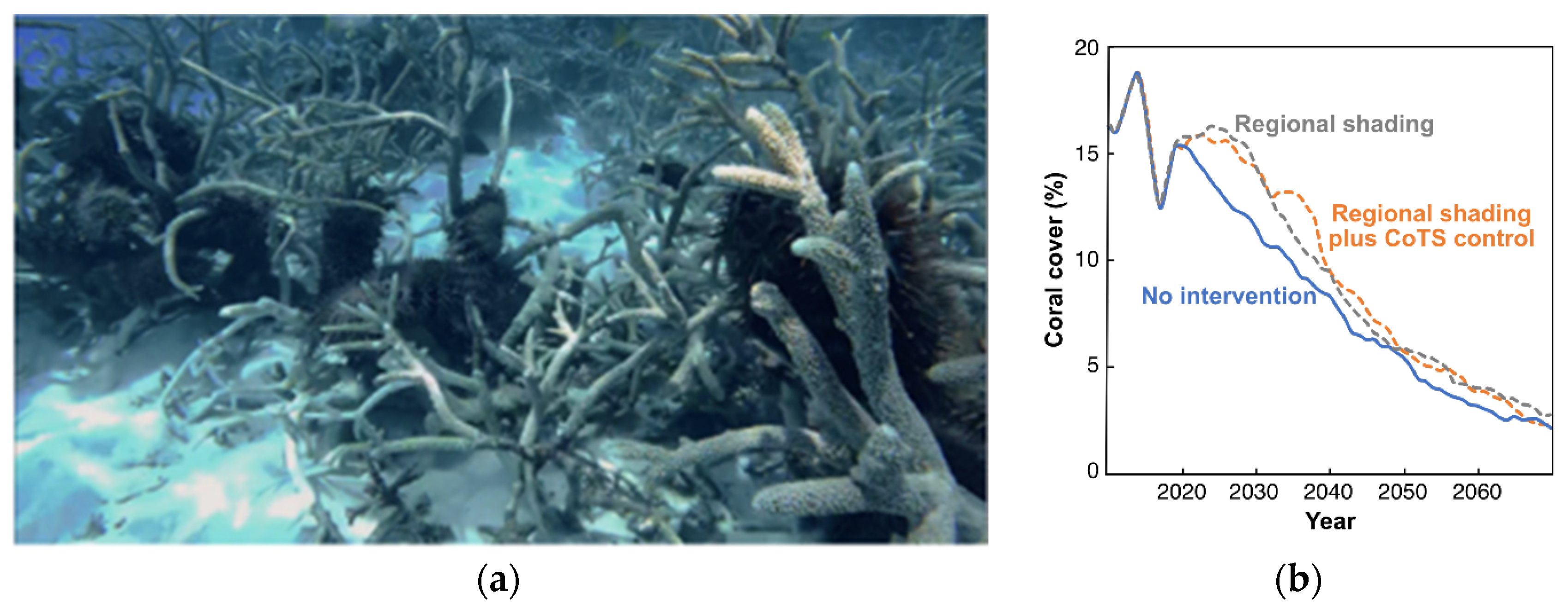 Forecasting 04 00057 g009