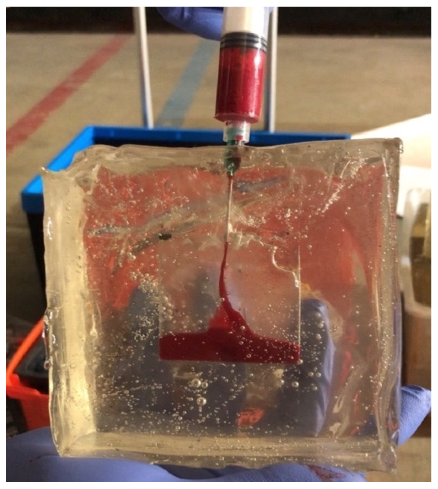 Forensicsci 01 00009 g007