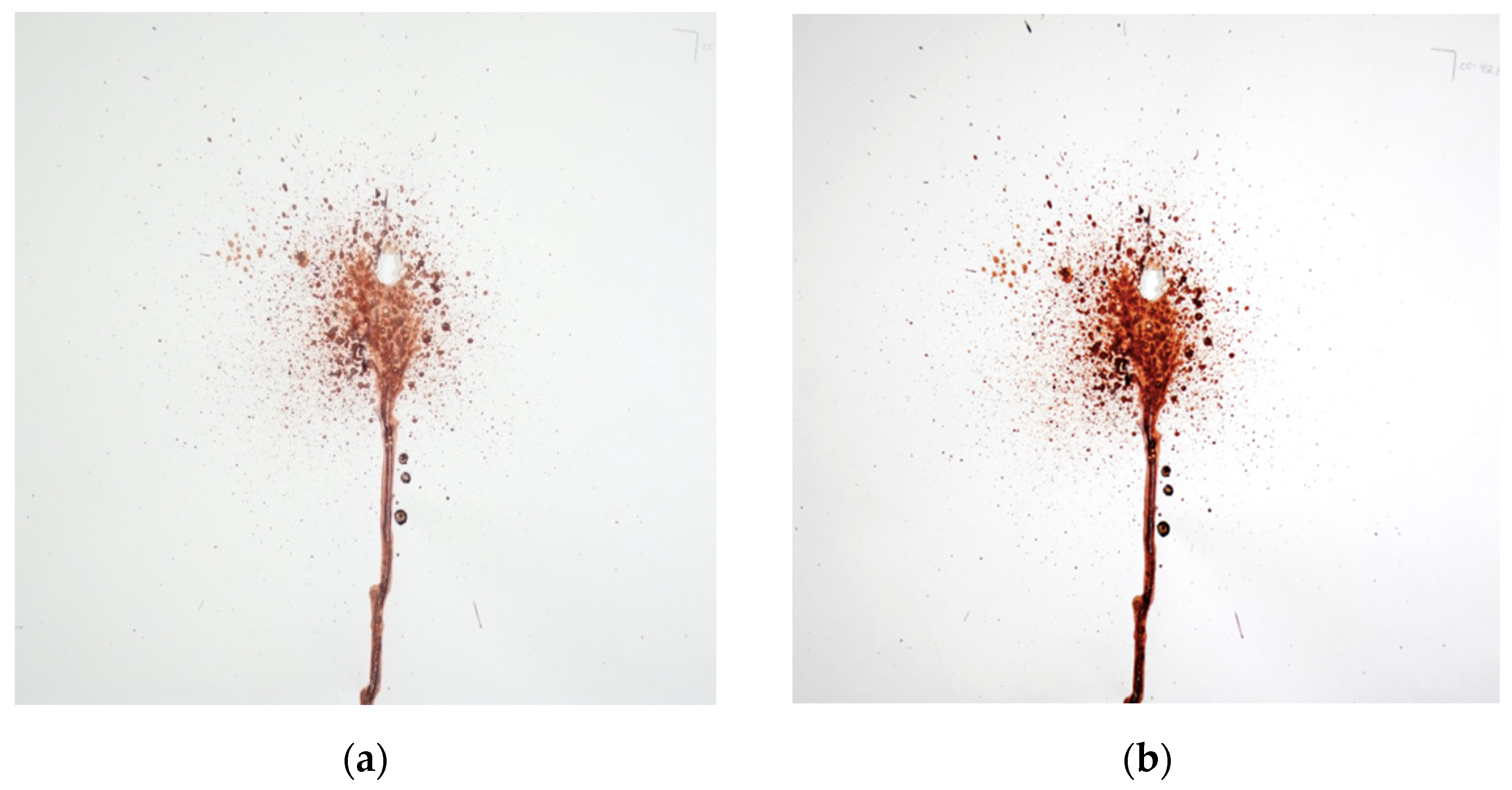 Forensicsci 01 00009 g009