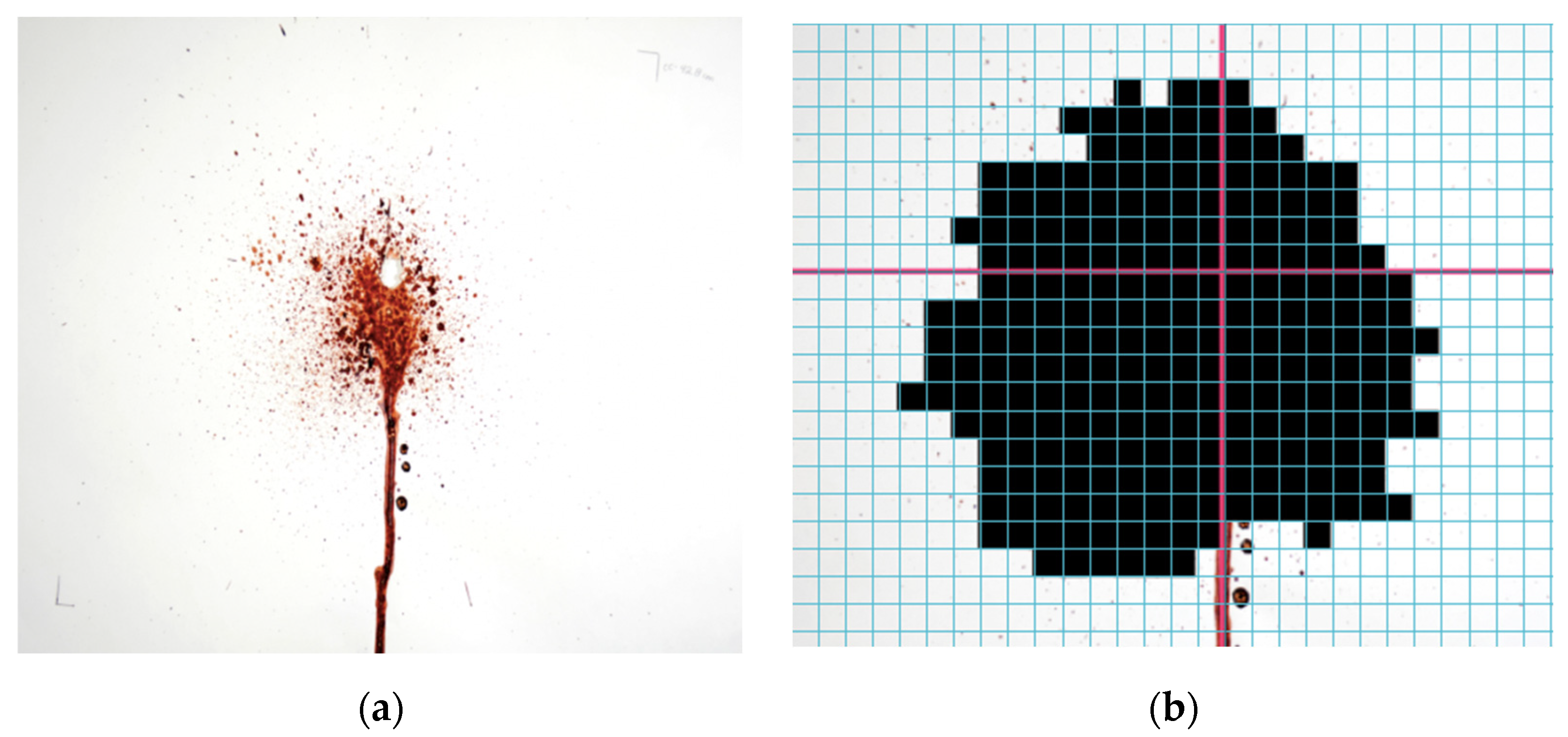 Forensicsci 01 00009 g011
