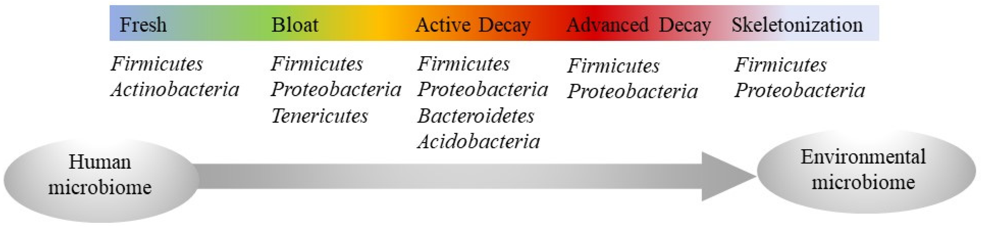 Forensicsci 02 00013 g001