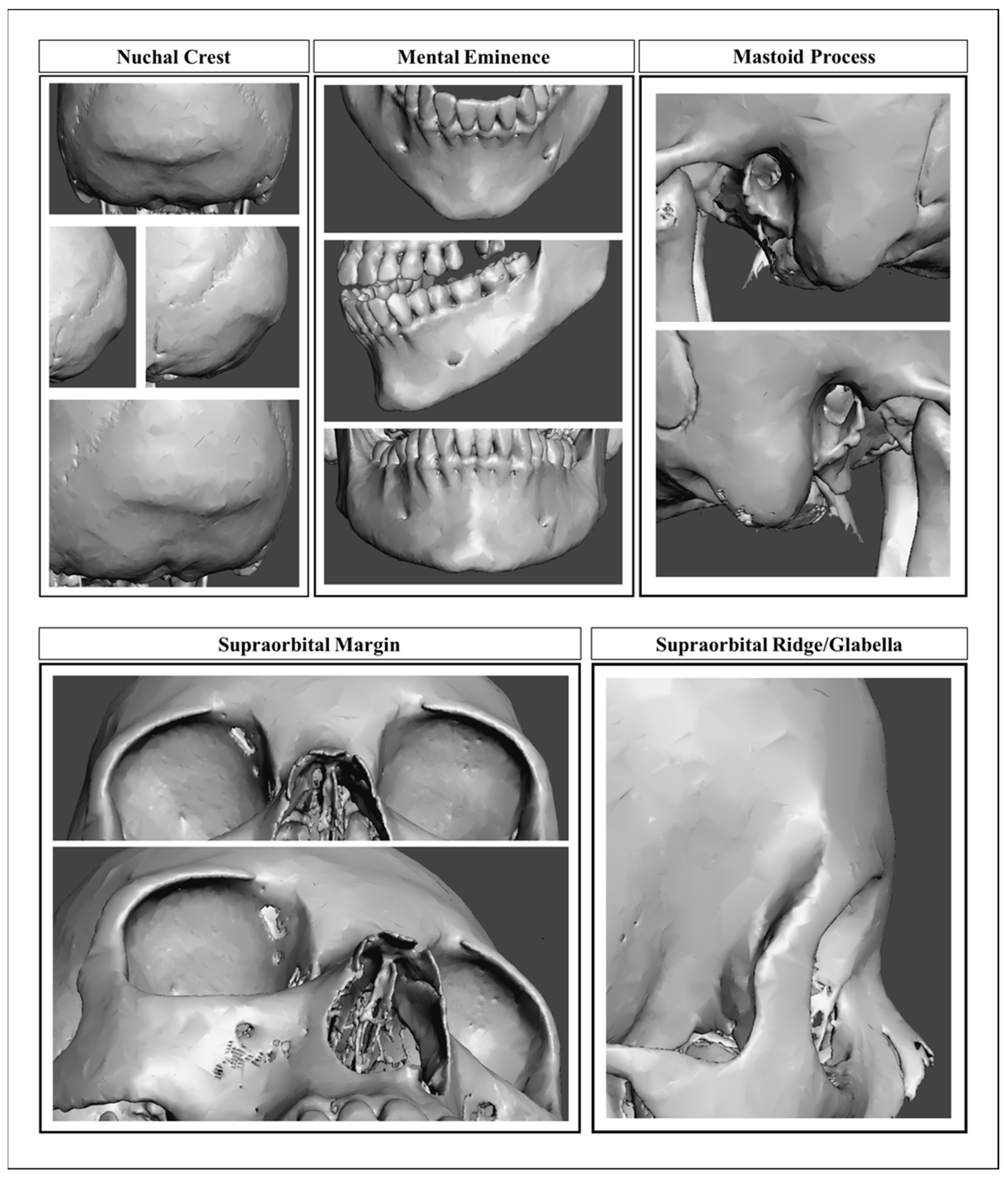 Forensicsci 02 00024 g003