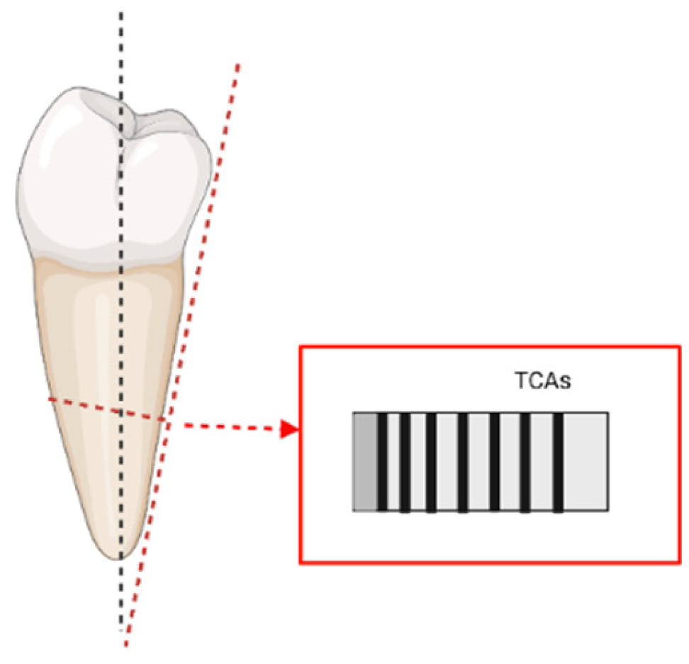 Forensicsci 02 00038 g001