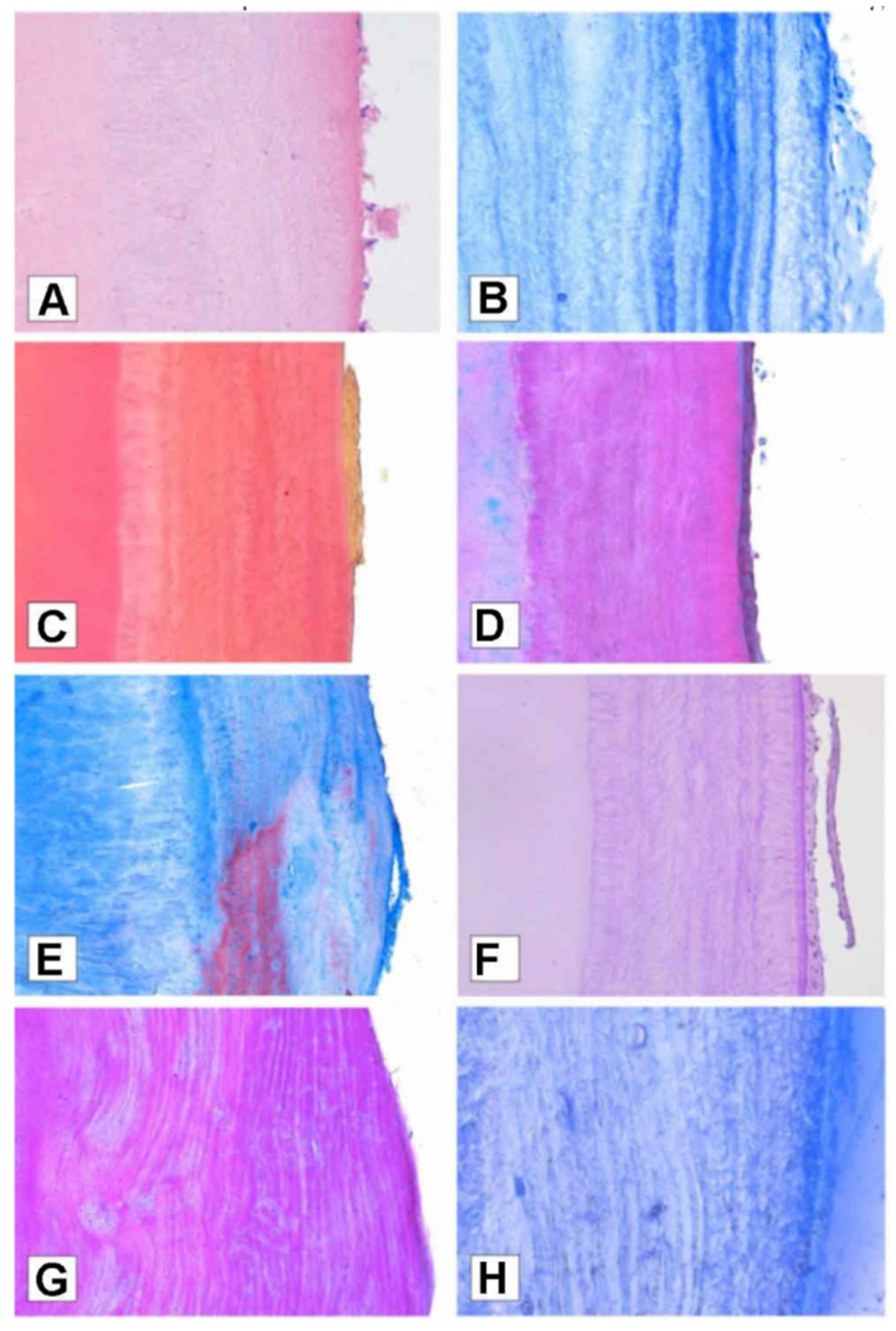 Forensicsci 02 00038 g002