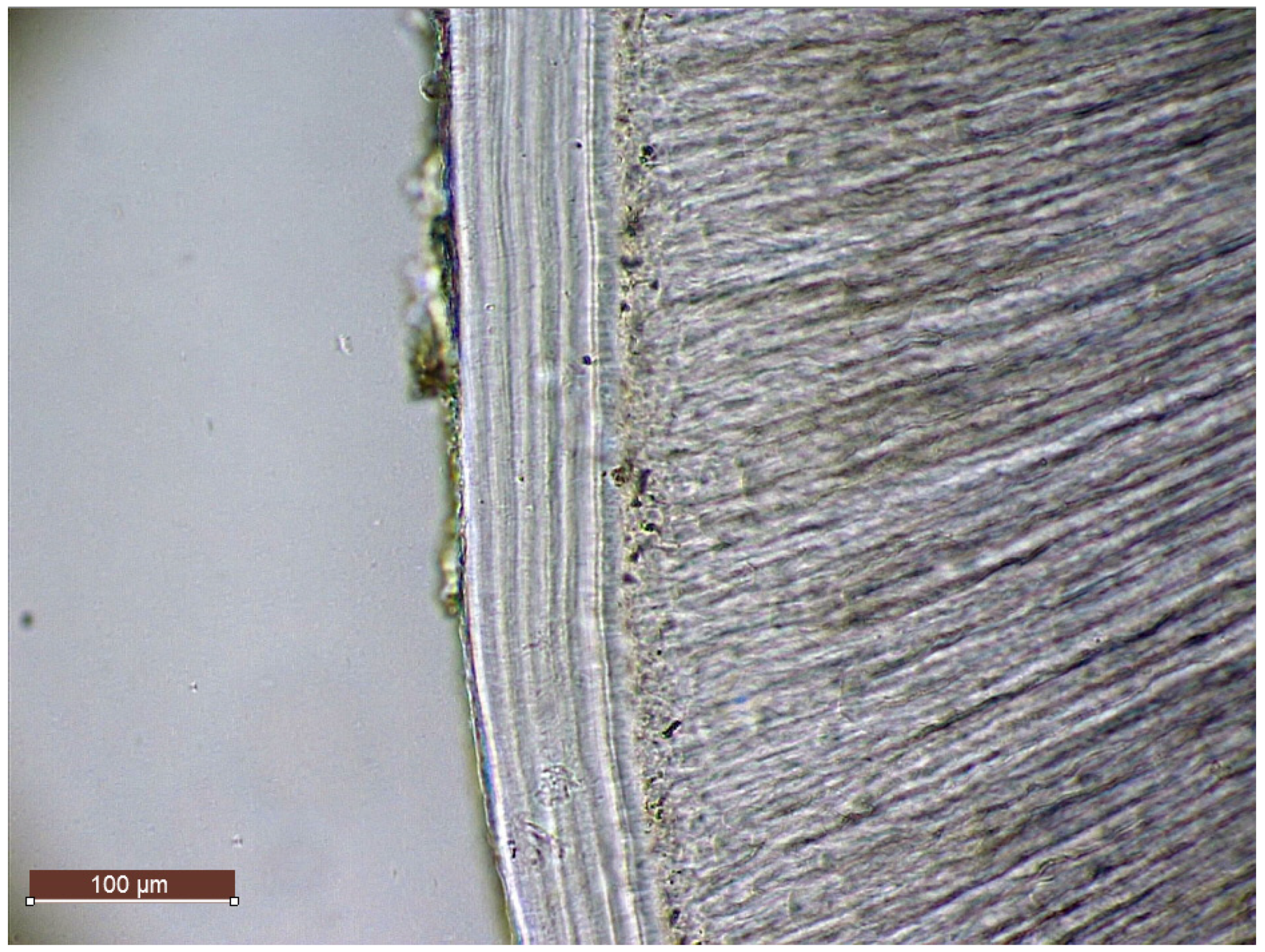 Forensicsci 02 00038 g003