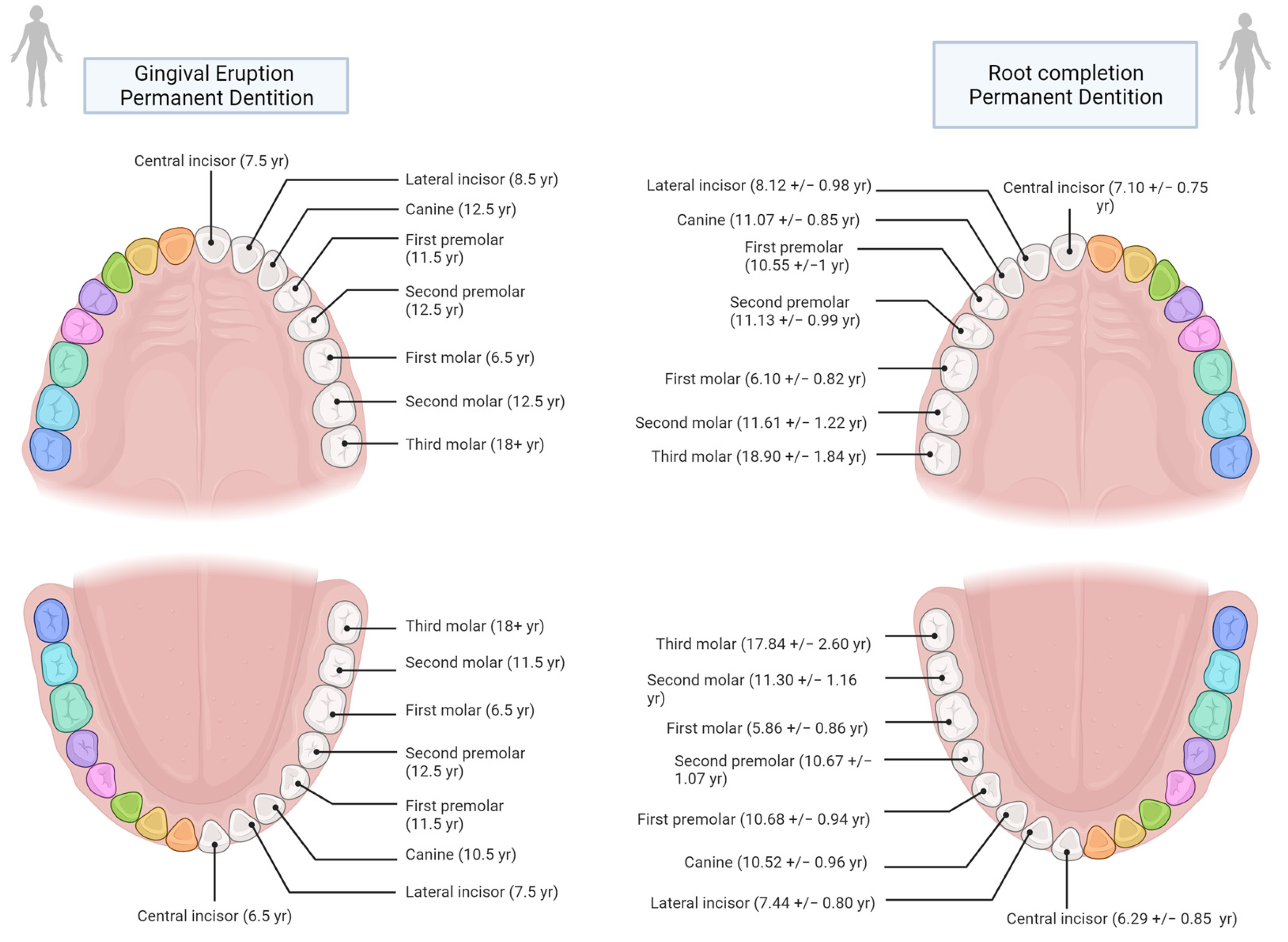 Forensicsci 02 00038 g004