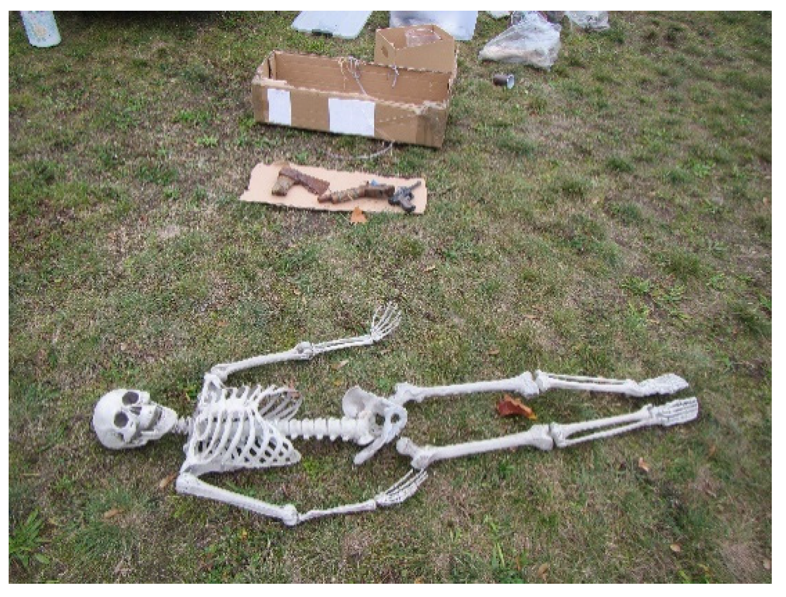 Forensicsci 02 00043 g001