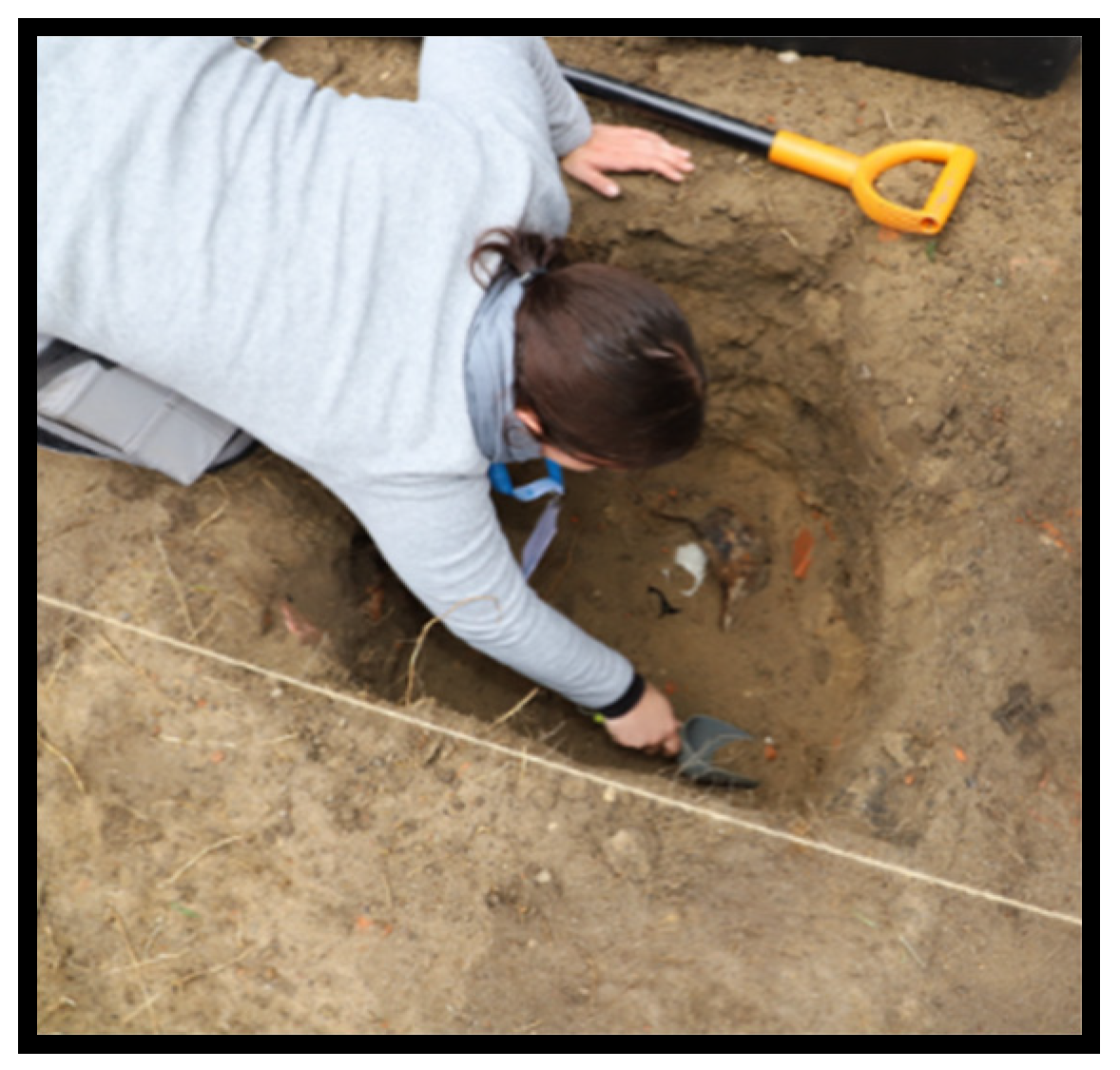 Forensicsci 02 00043 g017