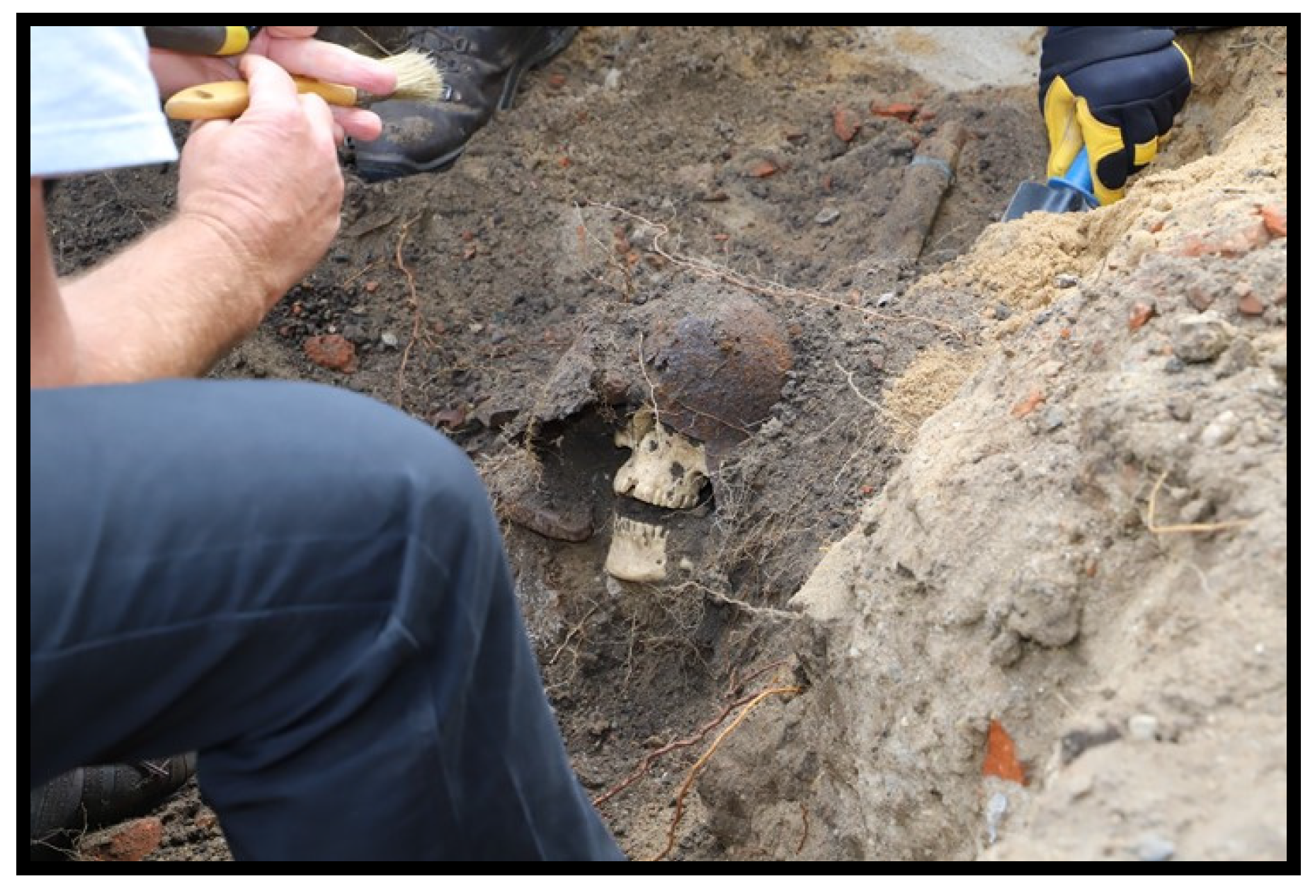 Forensicsci 02 00043 g024