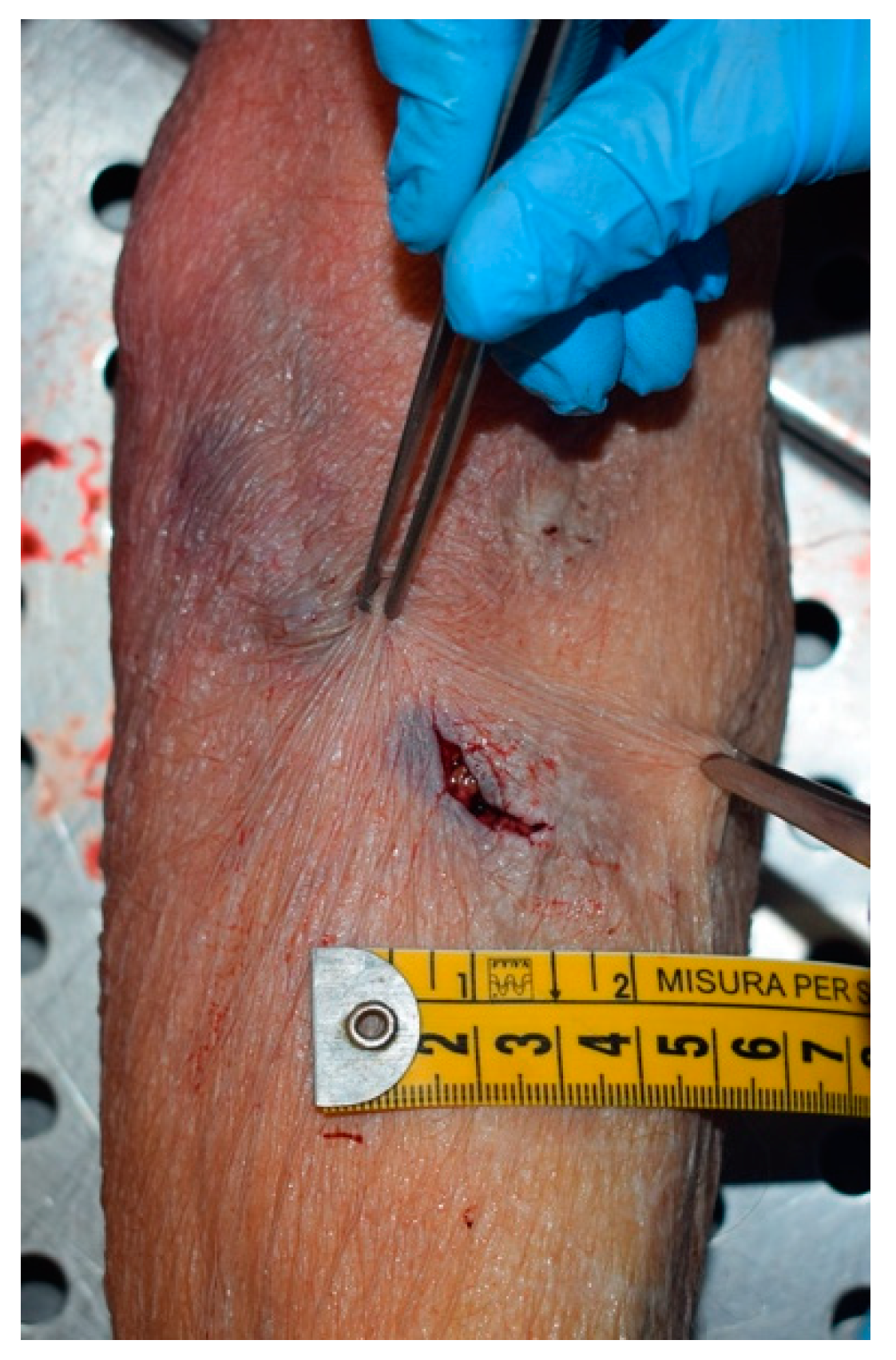 Forensicsci 02 00045 g001