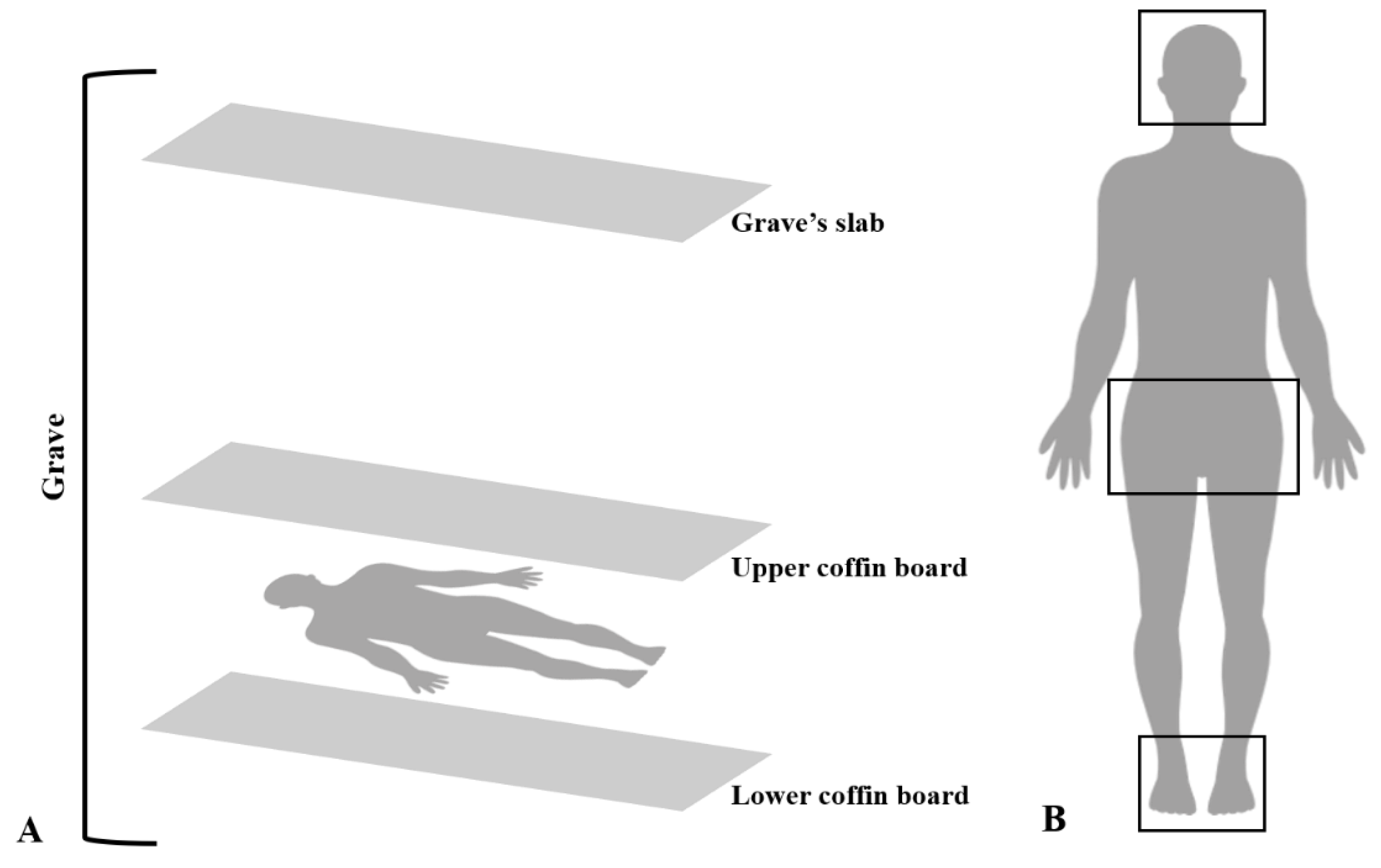 Forensicsci 02 00047 g002