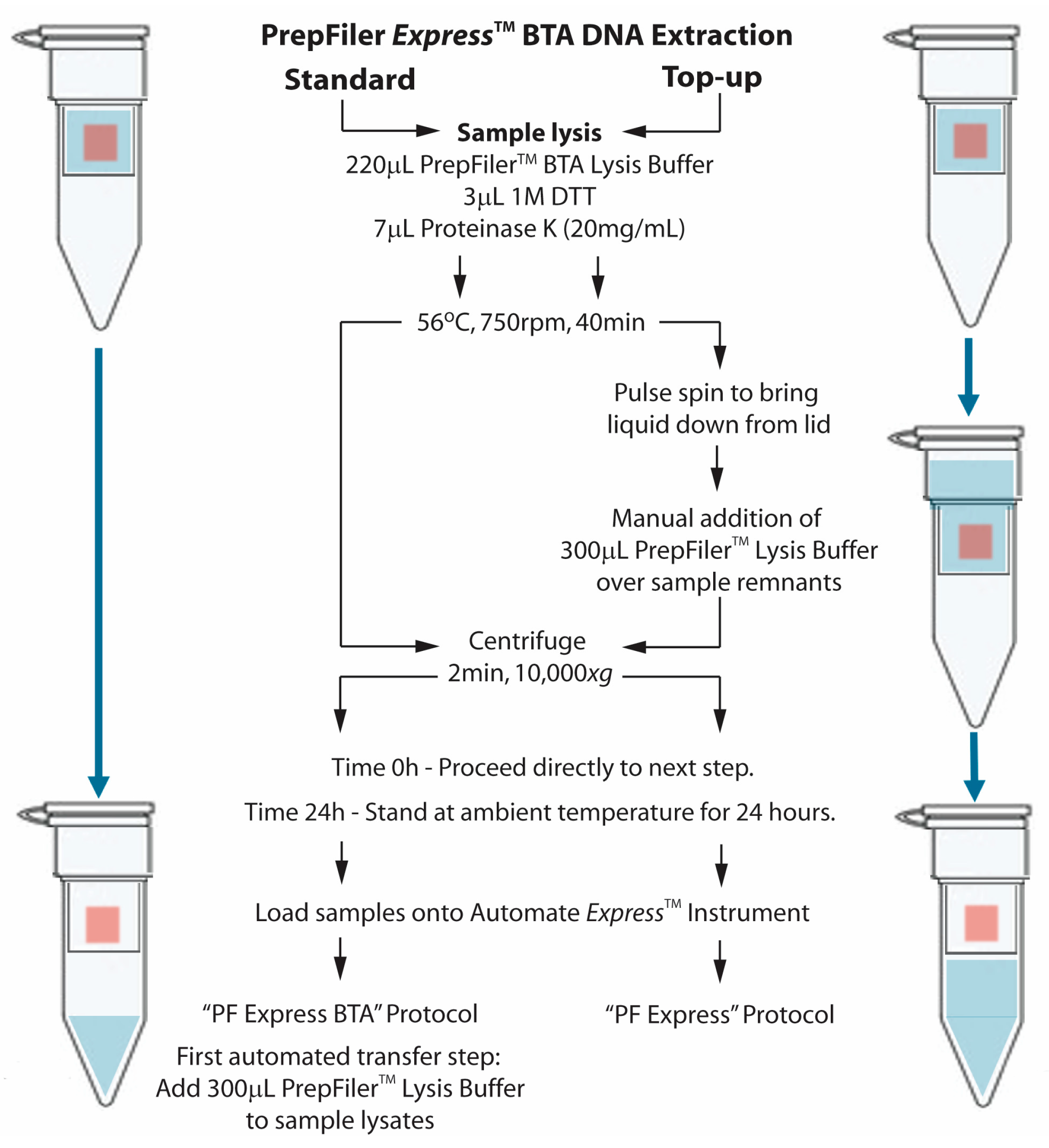 Forensicsci 02 00050 g001
