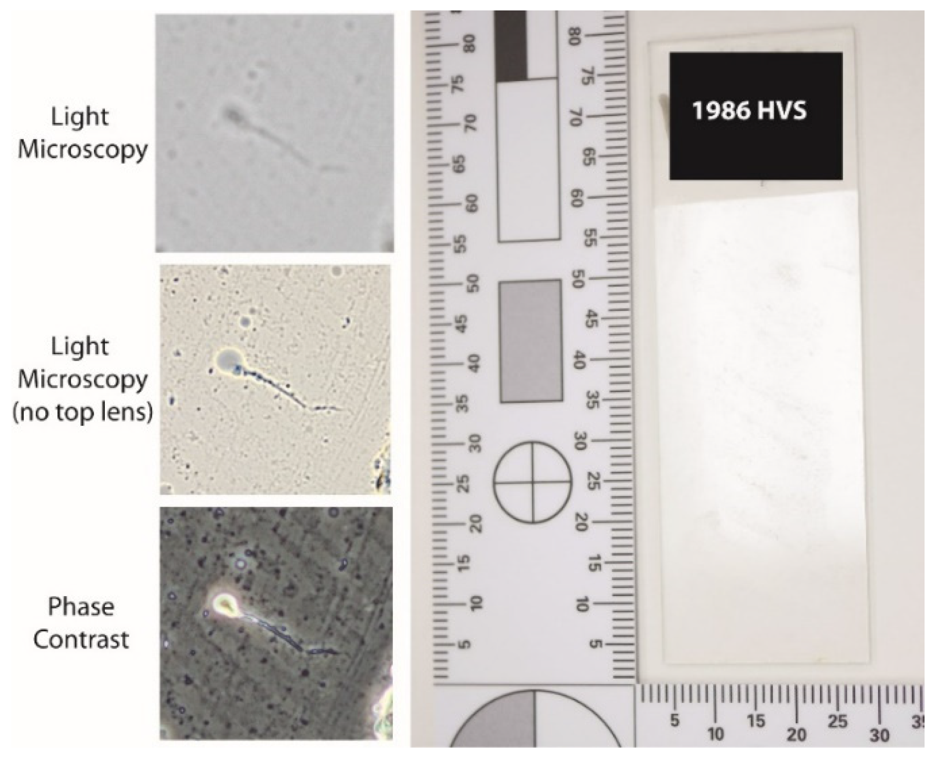 Forensicsci 02 00057 g004