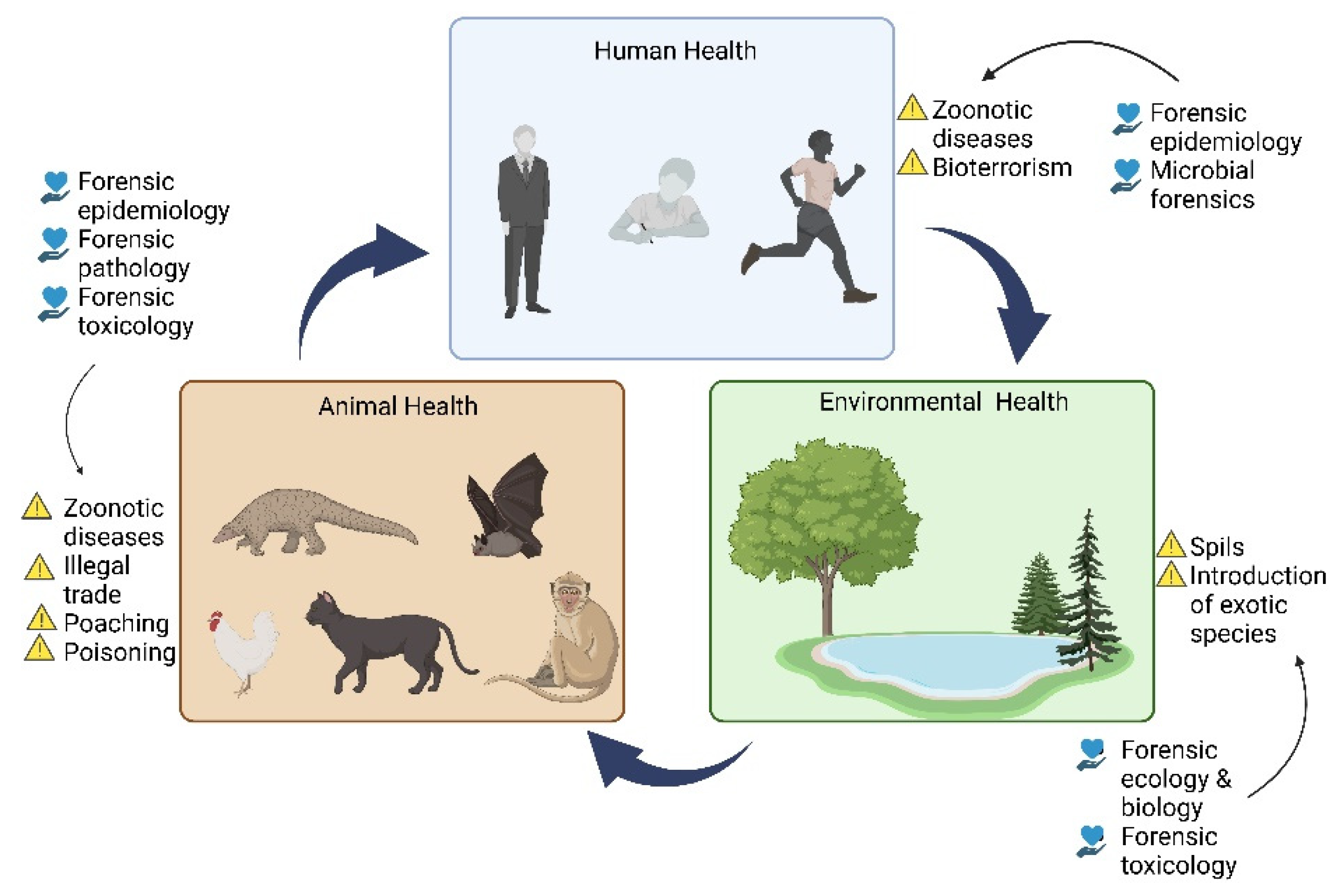 Forensicsci 02 00058 g002
