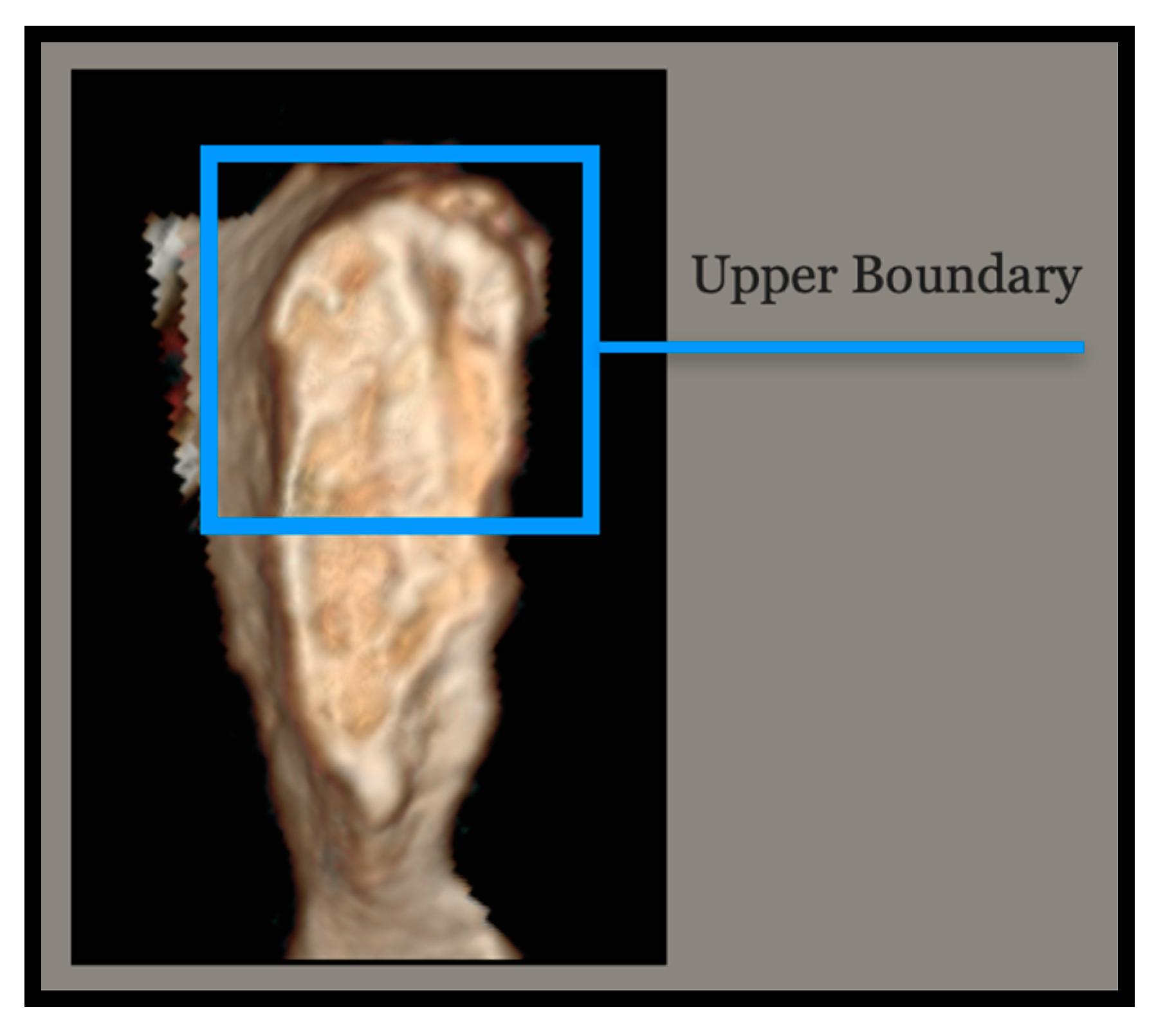 Forensicsci 03 00009 g002 Forensicsci 03 00009 g002