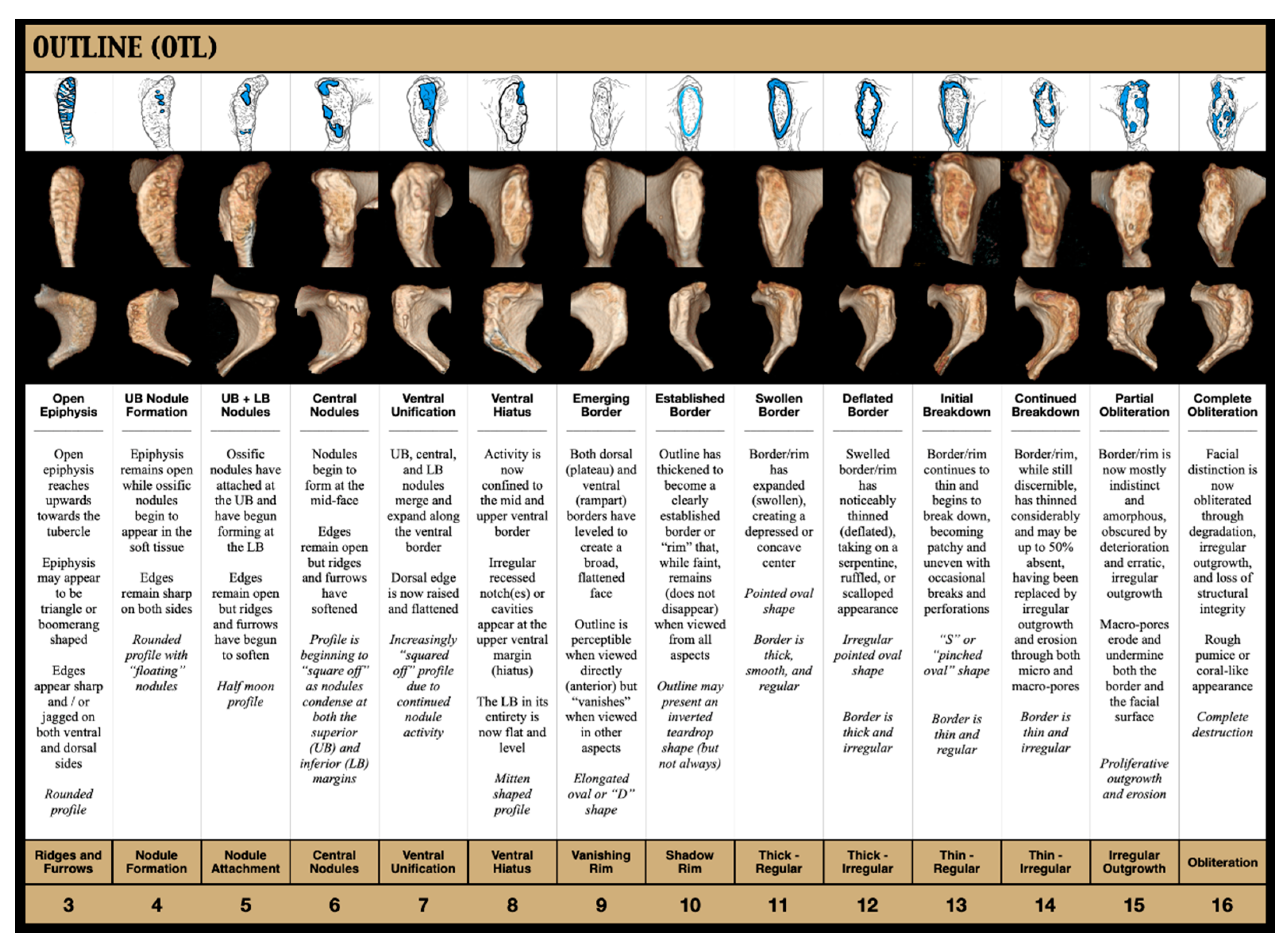Forensicsci 03 00009 g007 Forensicsci 03 00009 g007