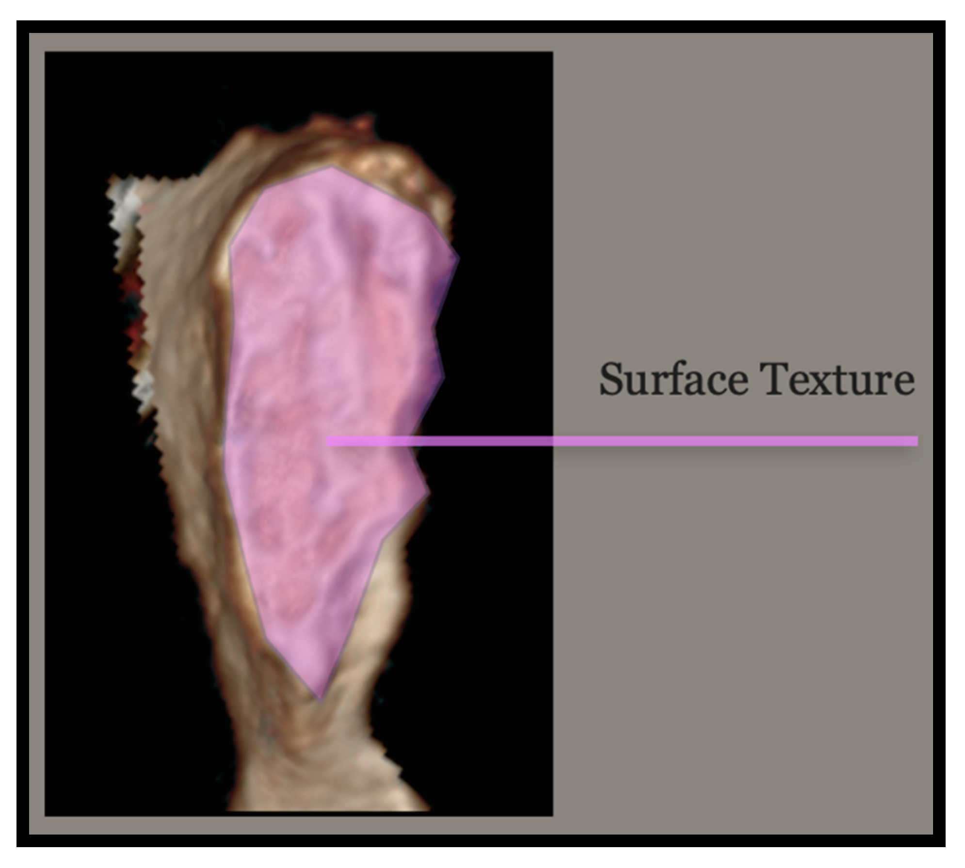 Forensicsci 03 00009 g008 Forensicsci 03 00009 g008