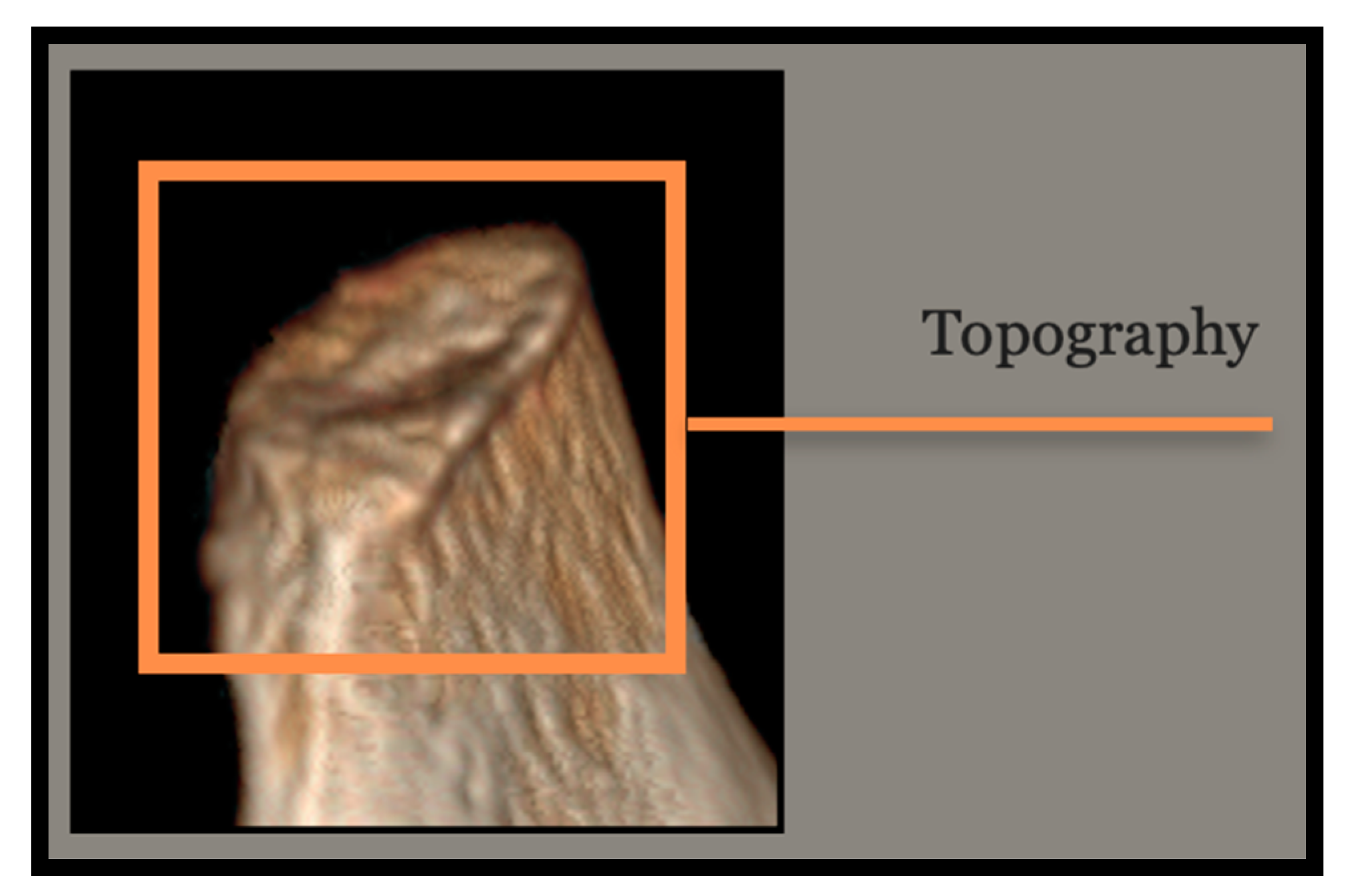 Forensicsci 03 00009 g010 Forensicsci 03 00009 g010