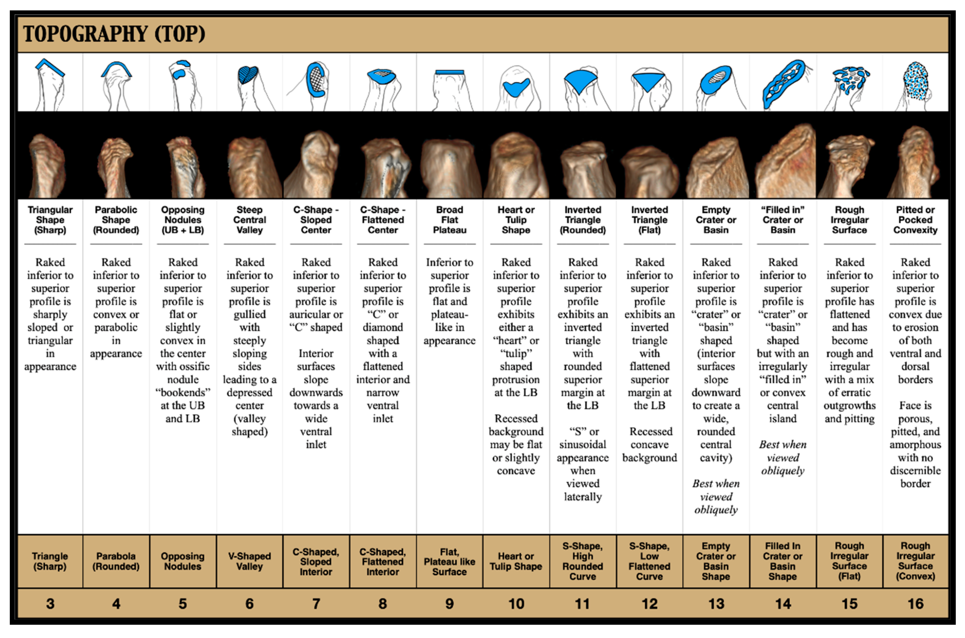 Forensicsci 03 00009 g011 Forensicsci 03 00009 g011