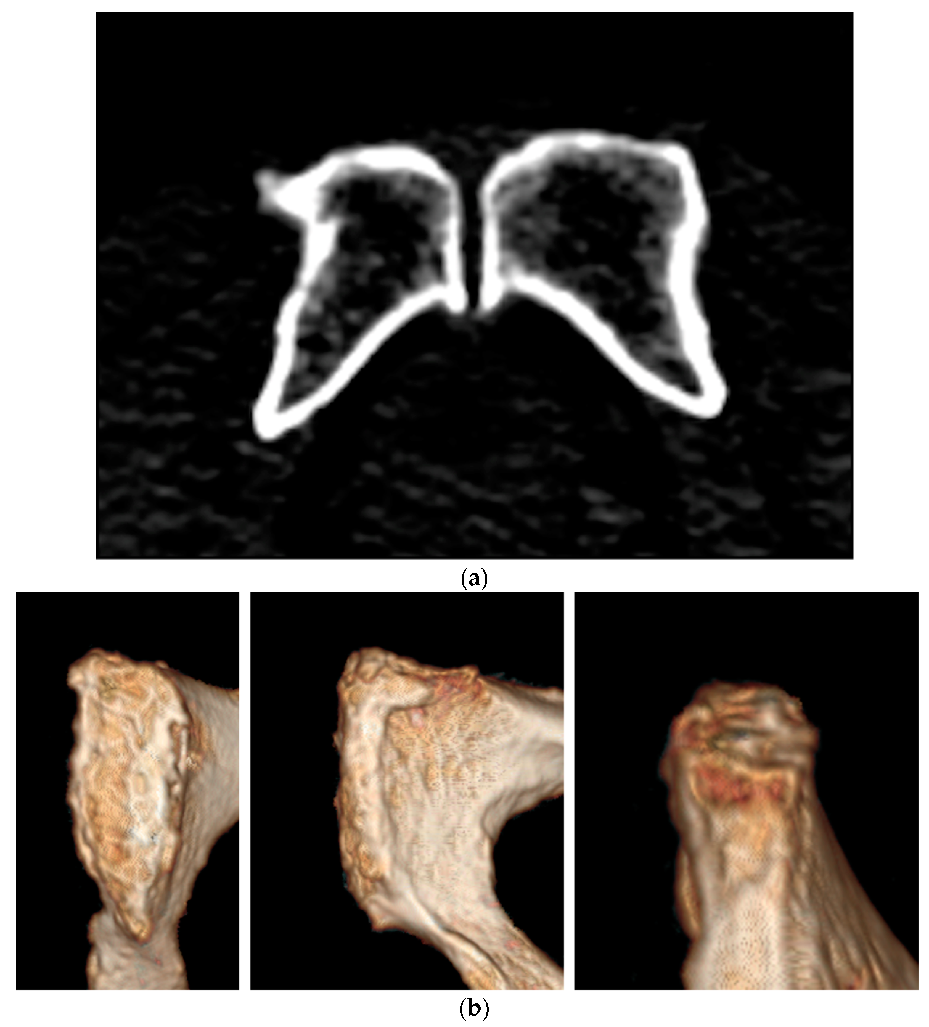 Forensicsci 03 00009 g015 Forensicsci 03 00009 g015