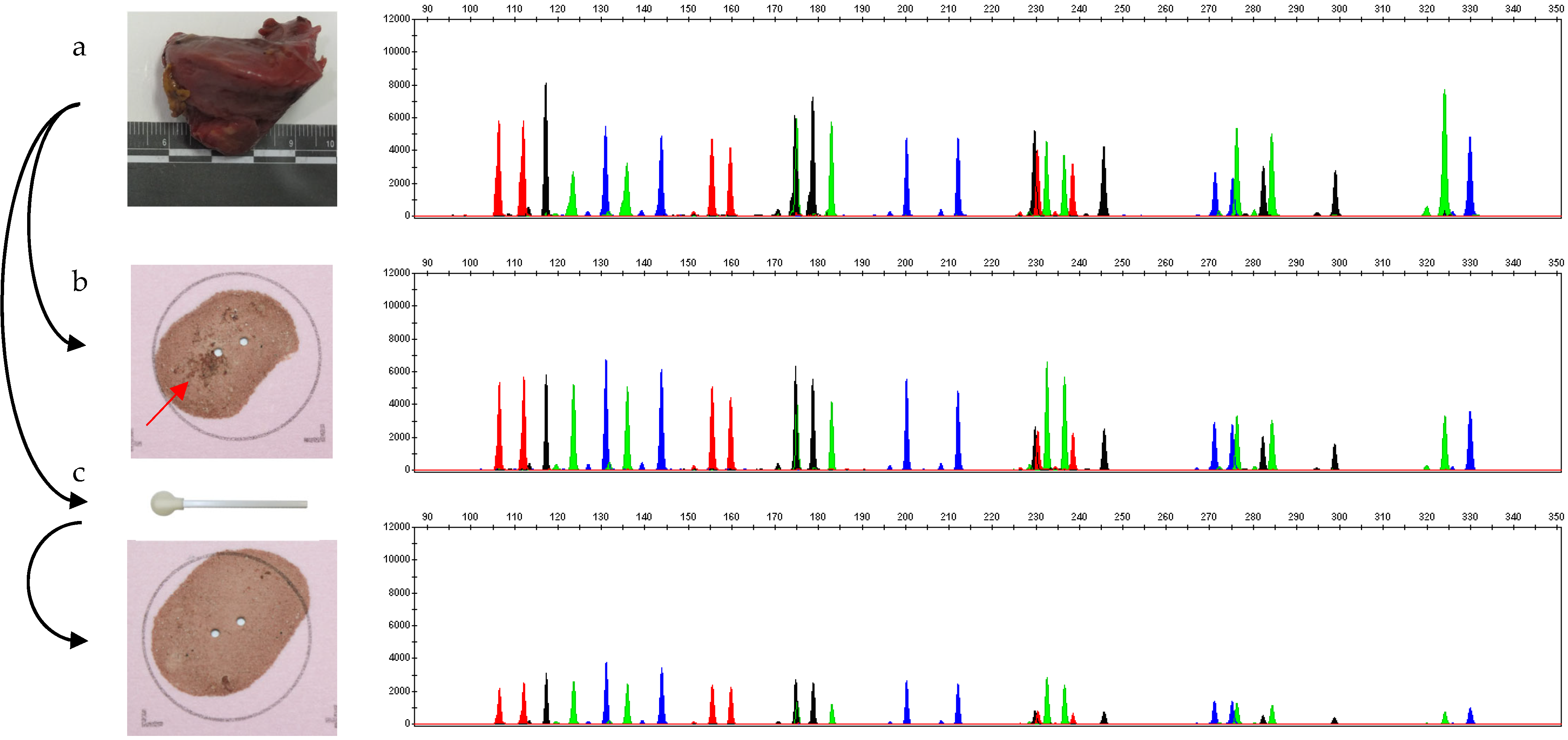 Forensicsci 03 00024 g001