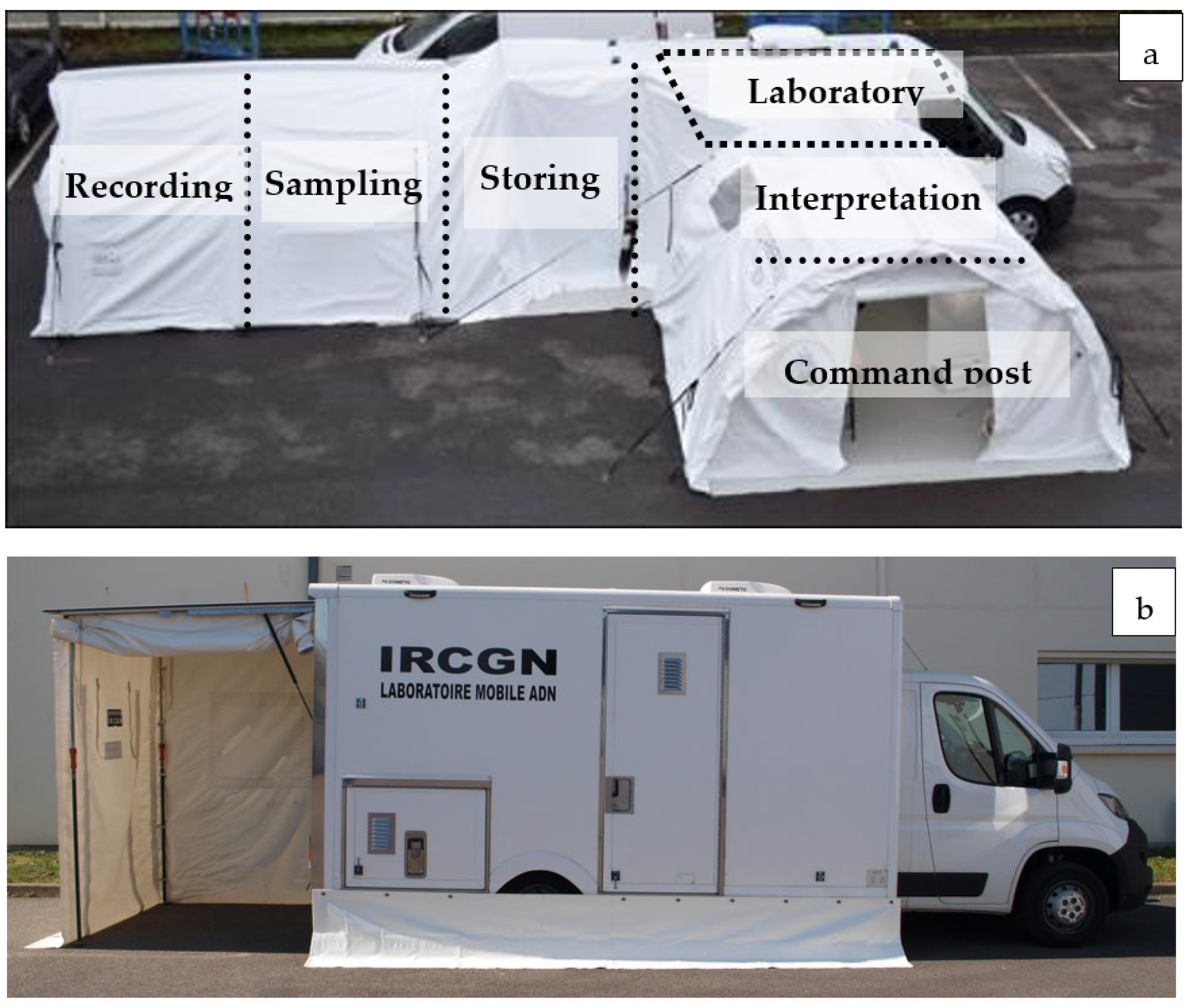 Forensicsci 03 00024 g004